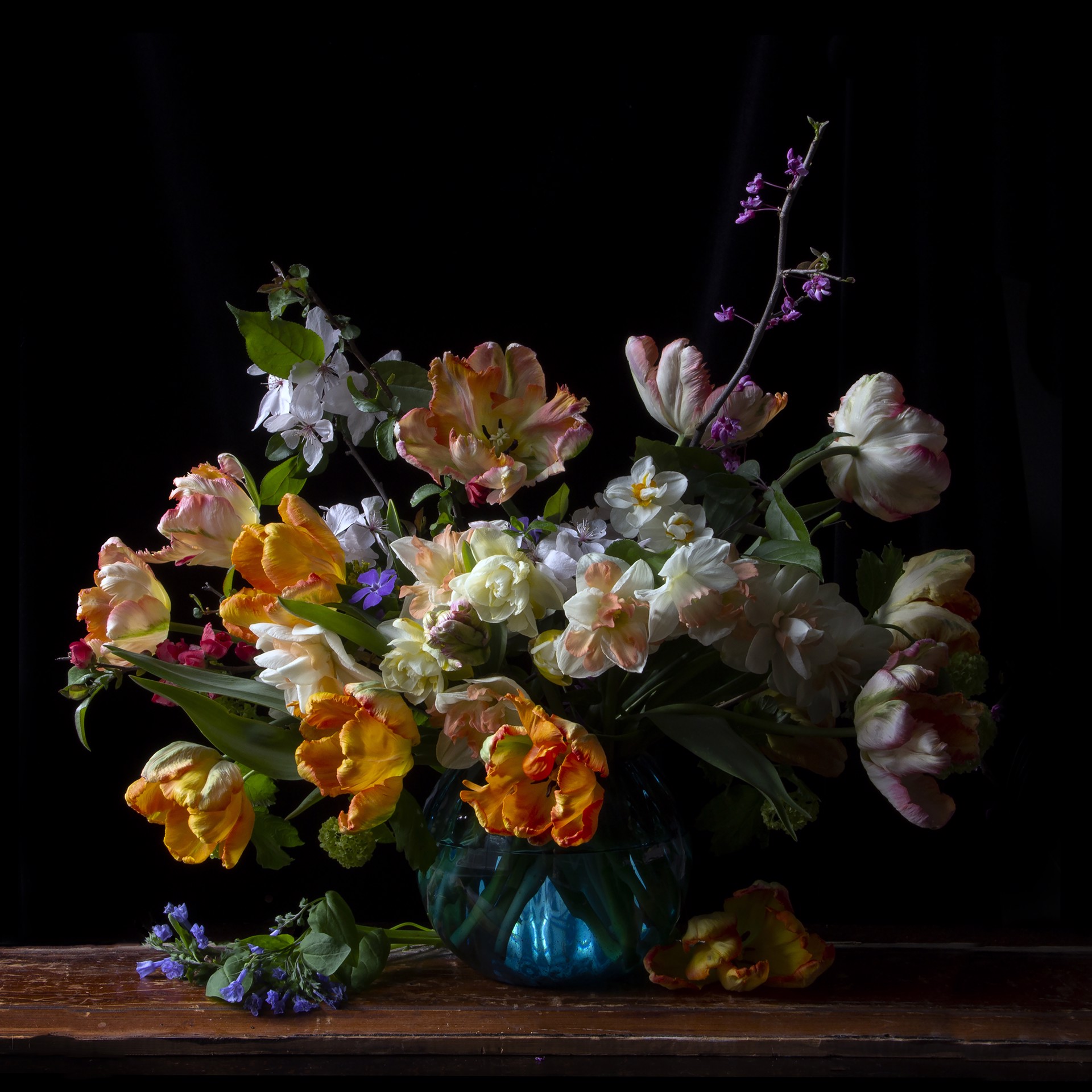 Vanitas with Orange Tulips, 0755 by Molly Wood