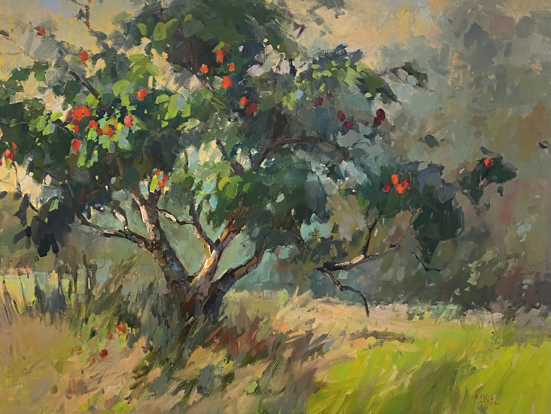The Apple Tree by Millie Gosch