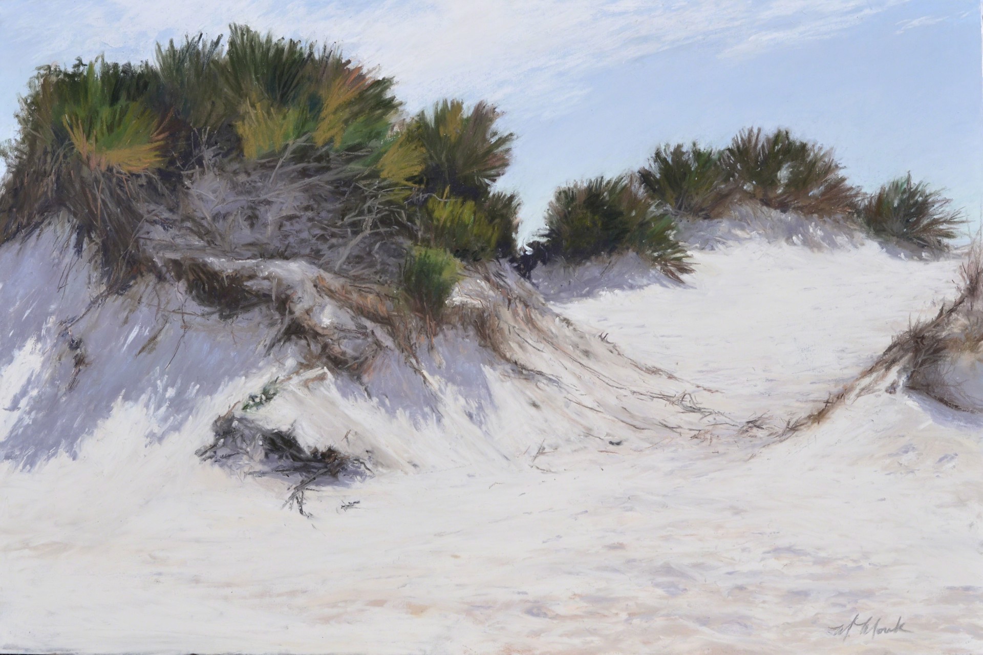 Dunes, Horn Island by Mary Monk
