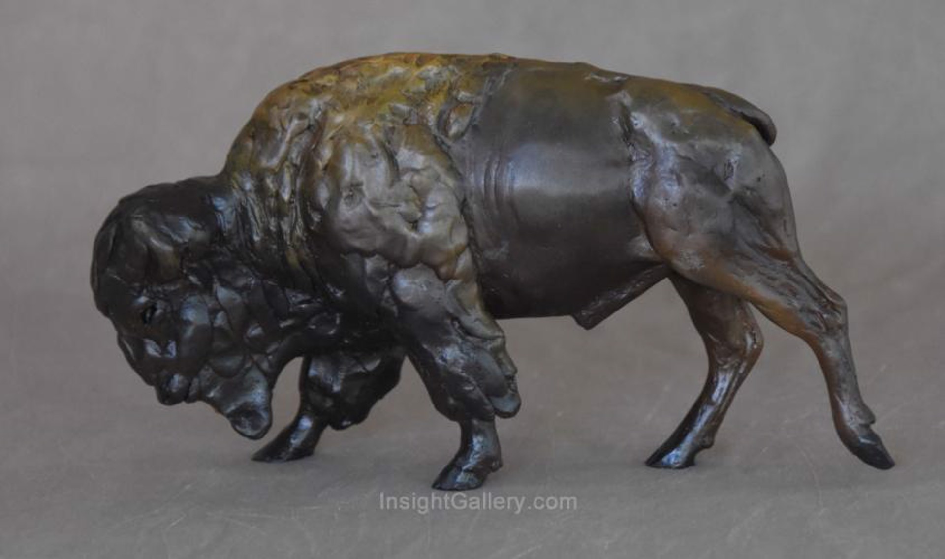 Miniature Bison # 5 by Jim Eppler