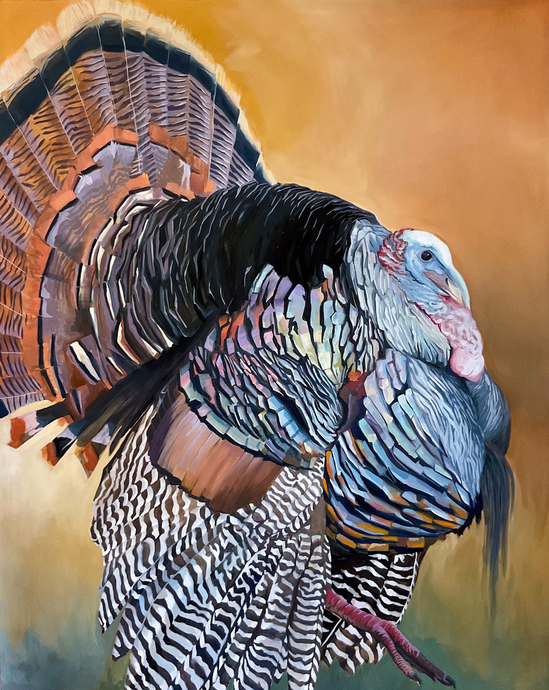 Portrait of a Turkey by Noelle Holler