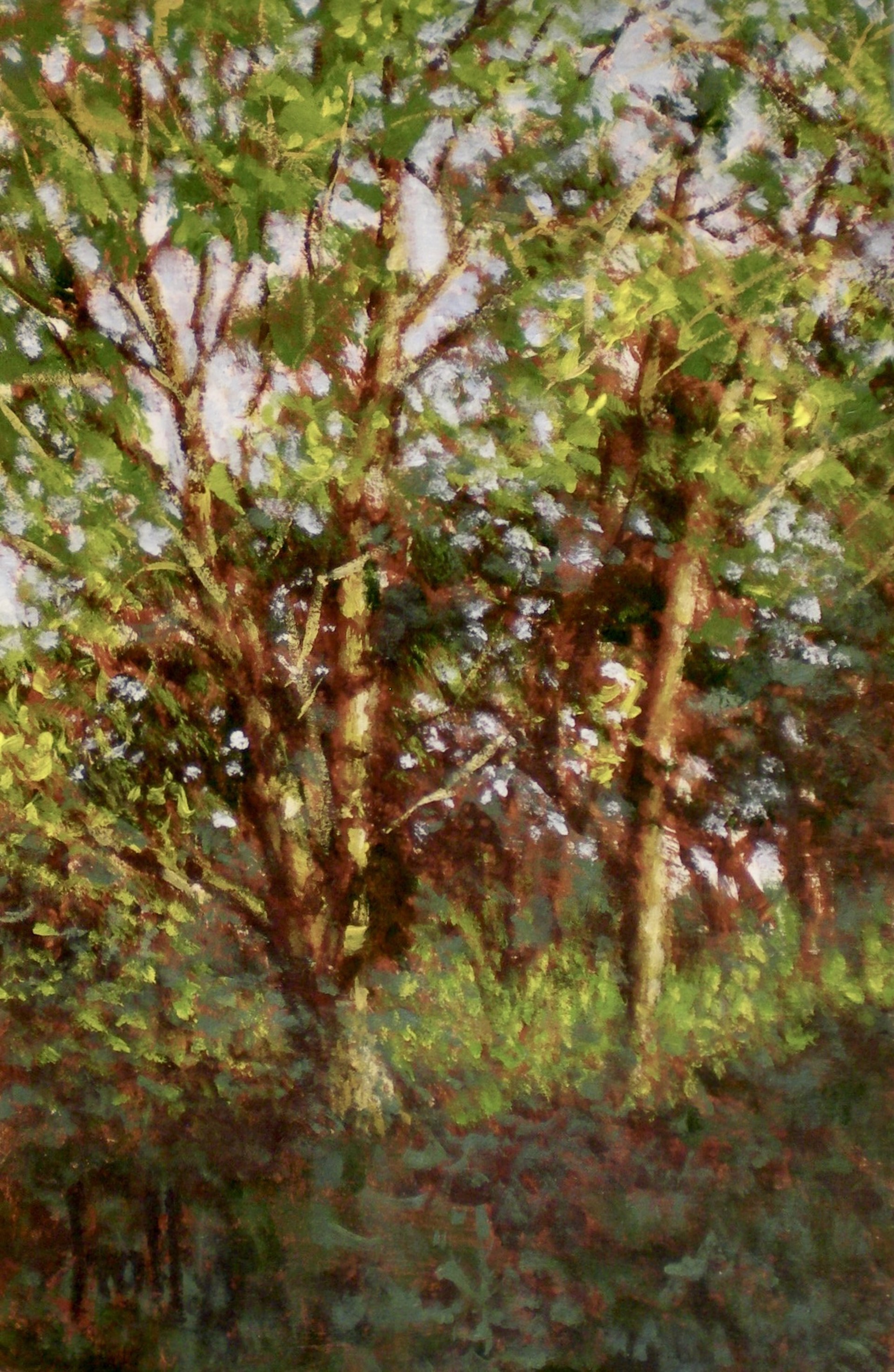 Tree Study #1 by Wendy Hall