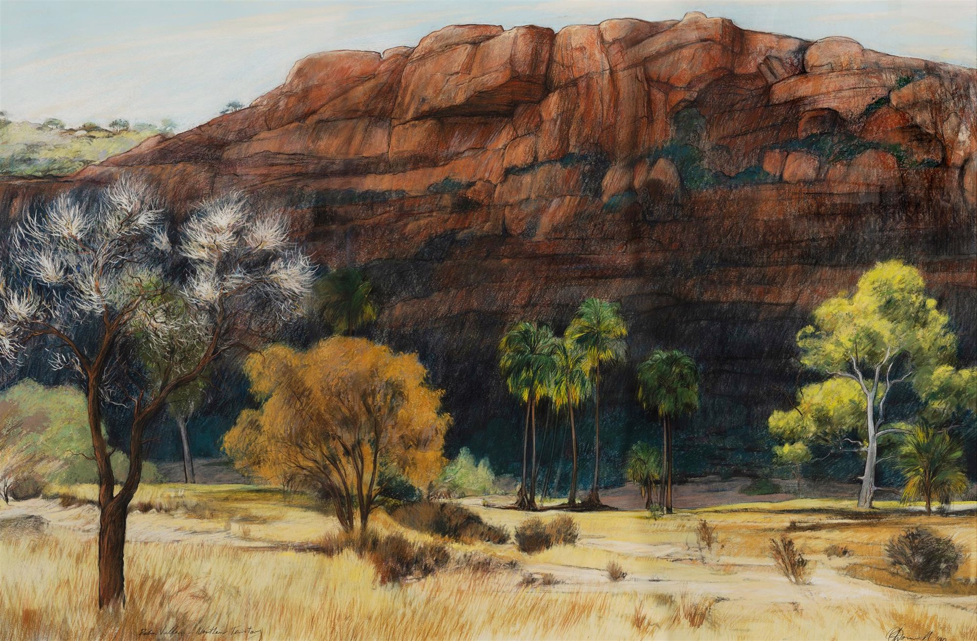 Palm Valley - Northern Territory by Terry O'Donnell