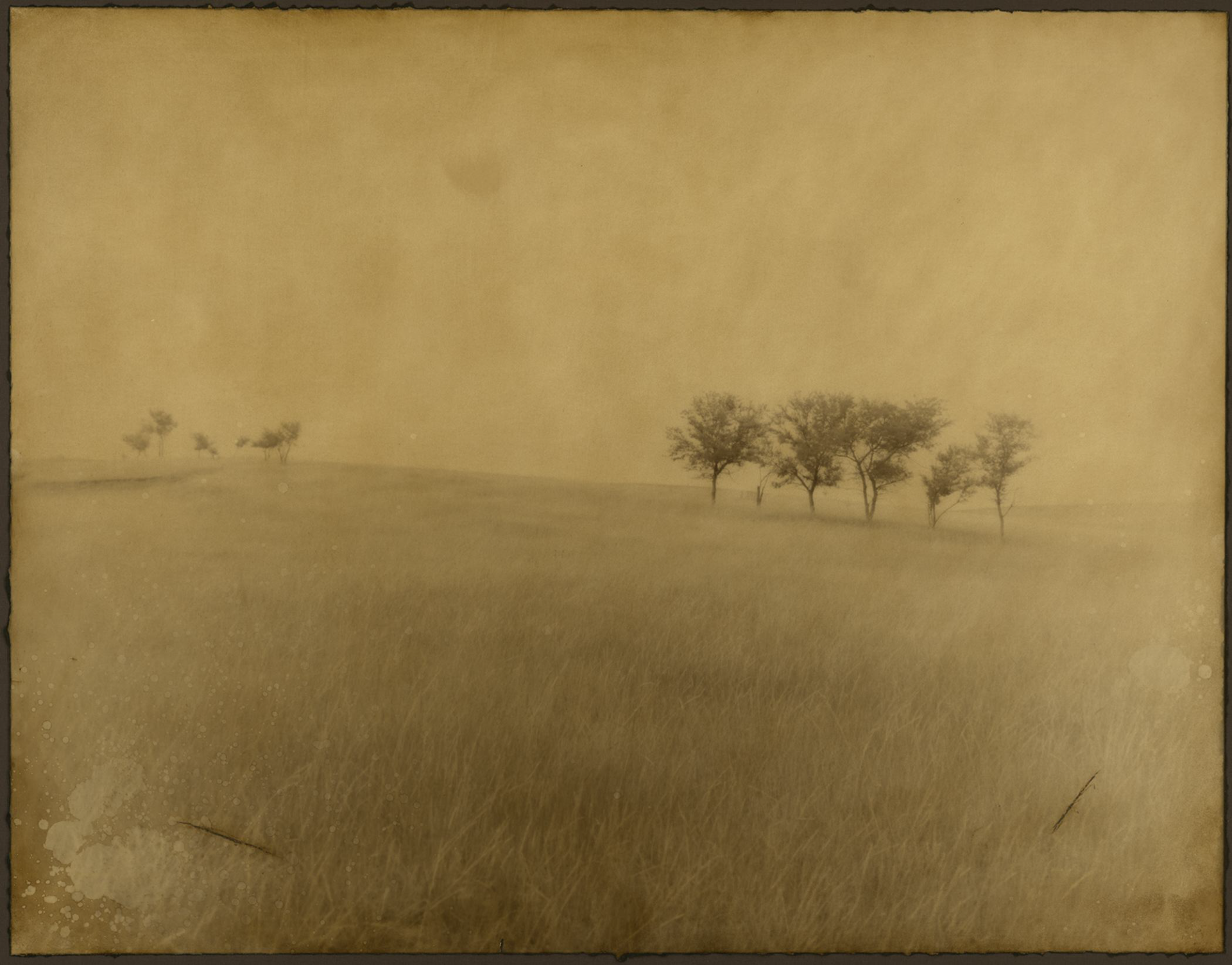 14 Trees at Wounded Knee   8/10 by Jack Spencer