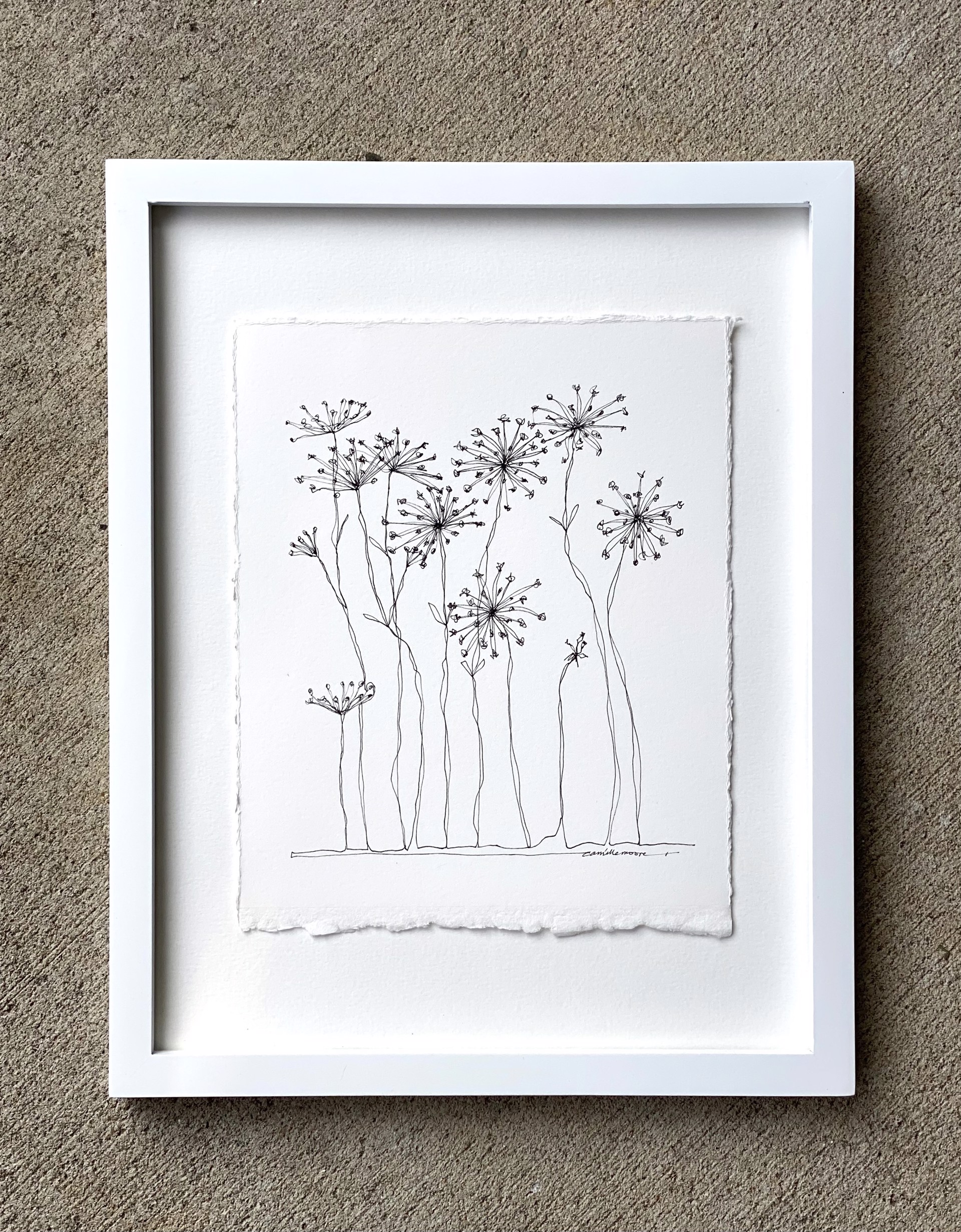 Queen Anne's Lace by Camille Moore