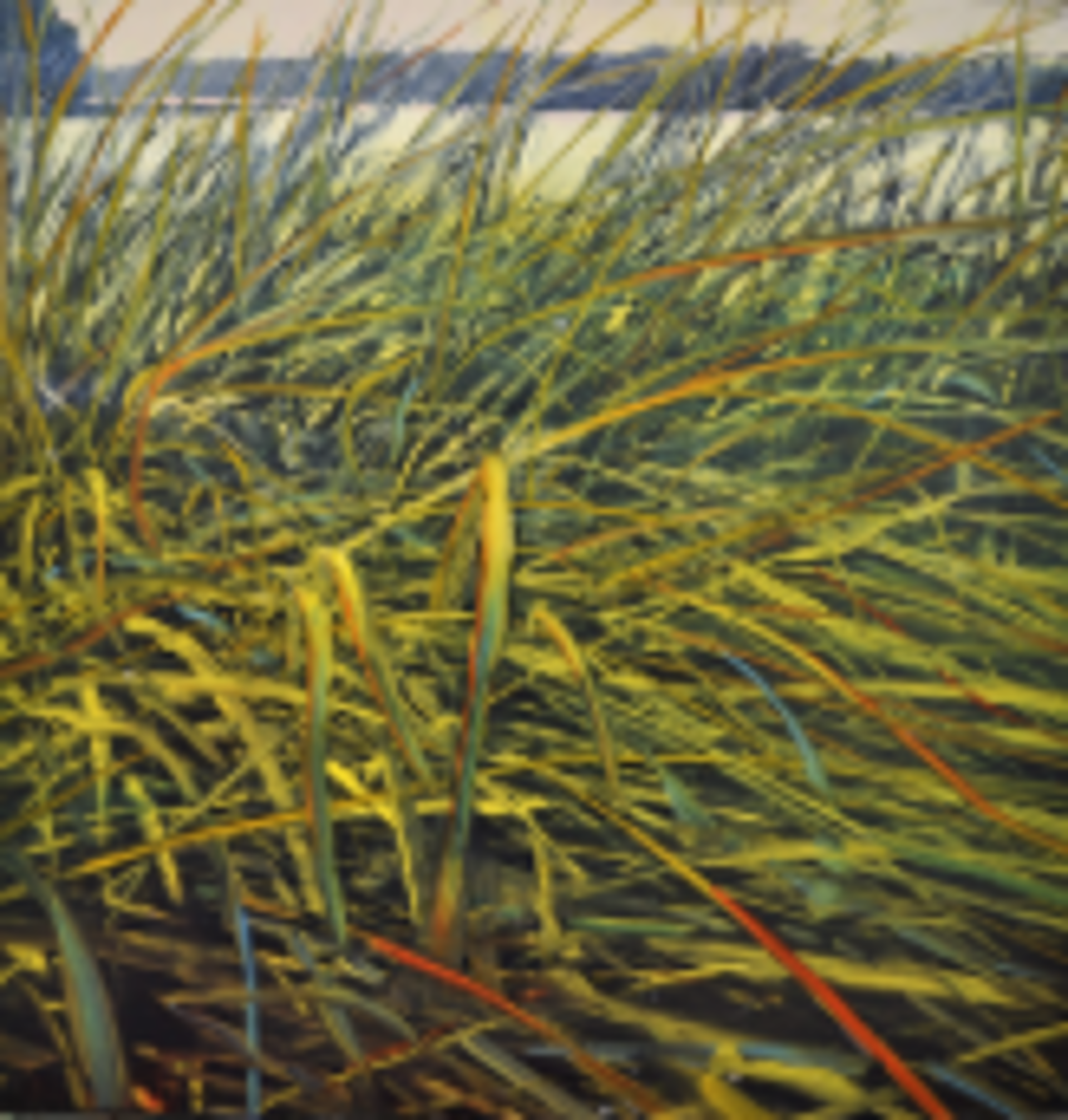 River Reeds by David Allen Dunlop
