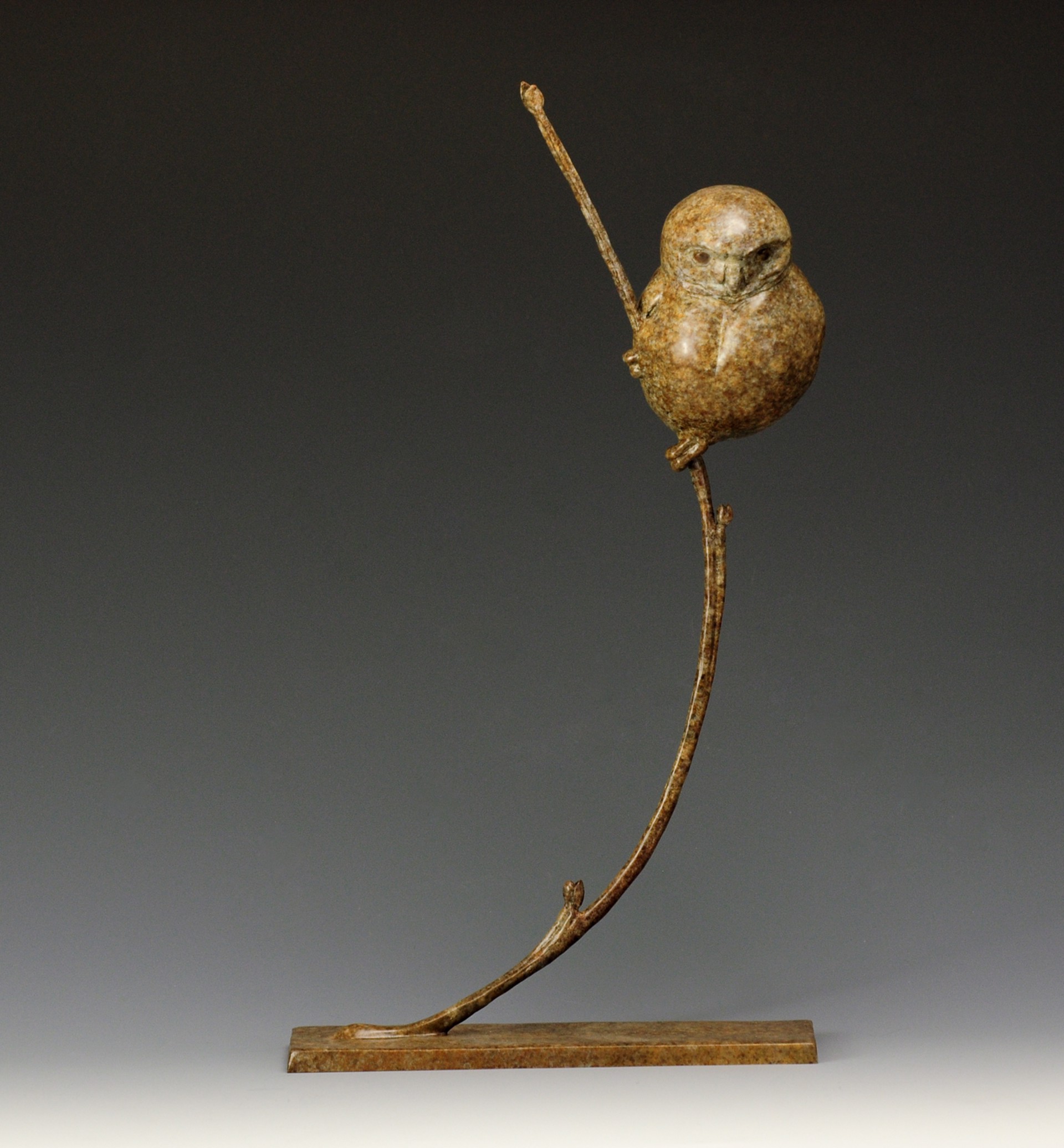 A Fine Art Sculpture In Bronze By Jeremy Bradshaw Featuring A Pygmy Owl Perched On A Branch, Available At Gallery Wild