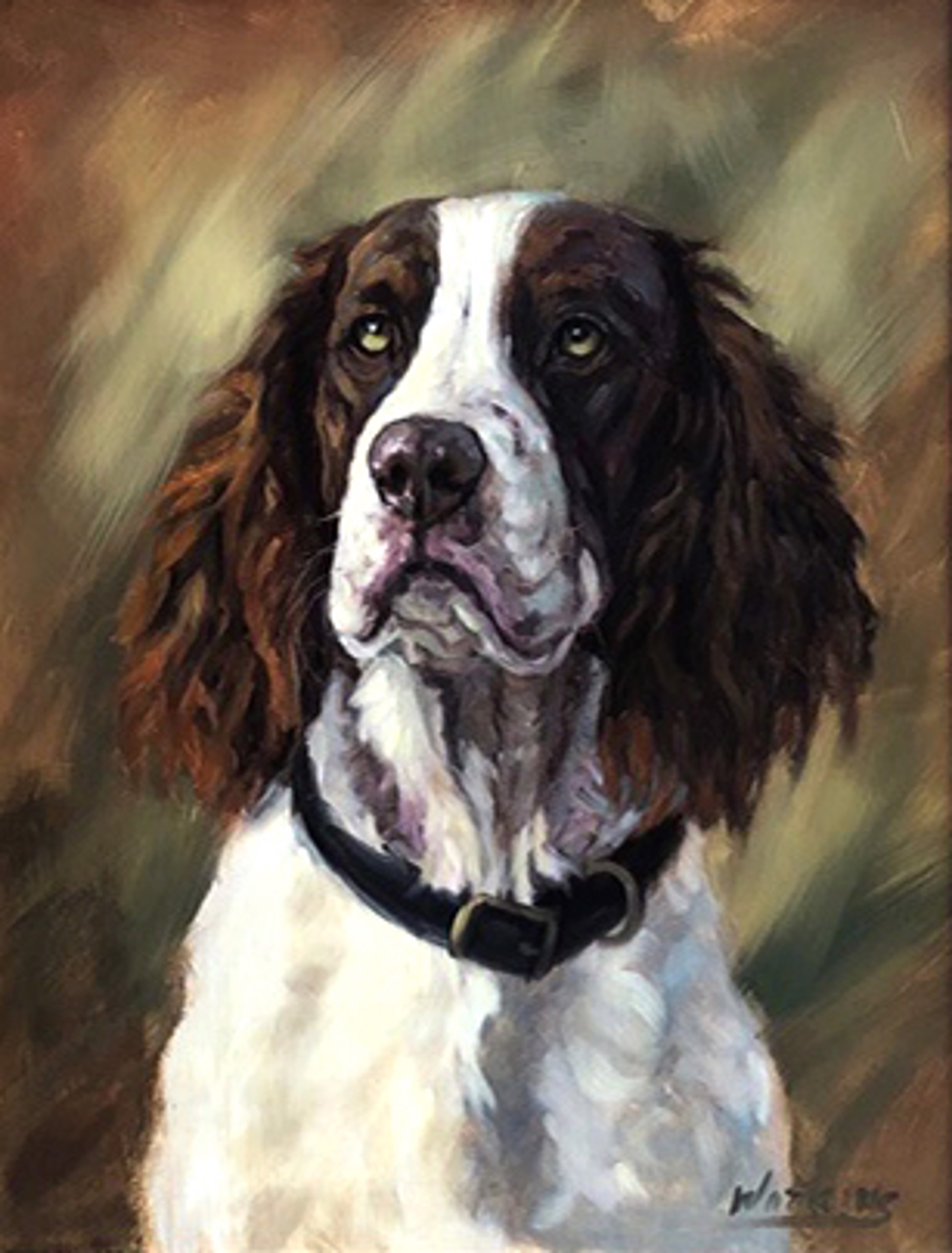 The Sporting Springer by Peggy Watkins