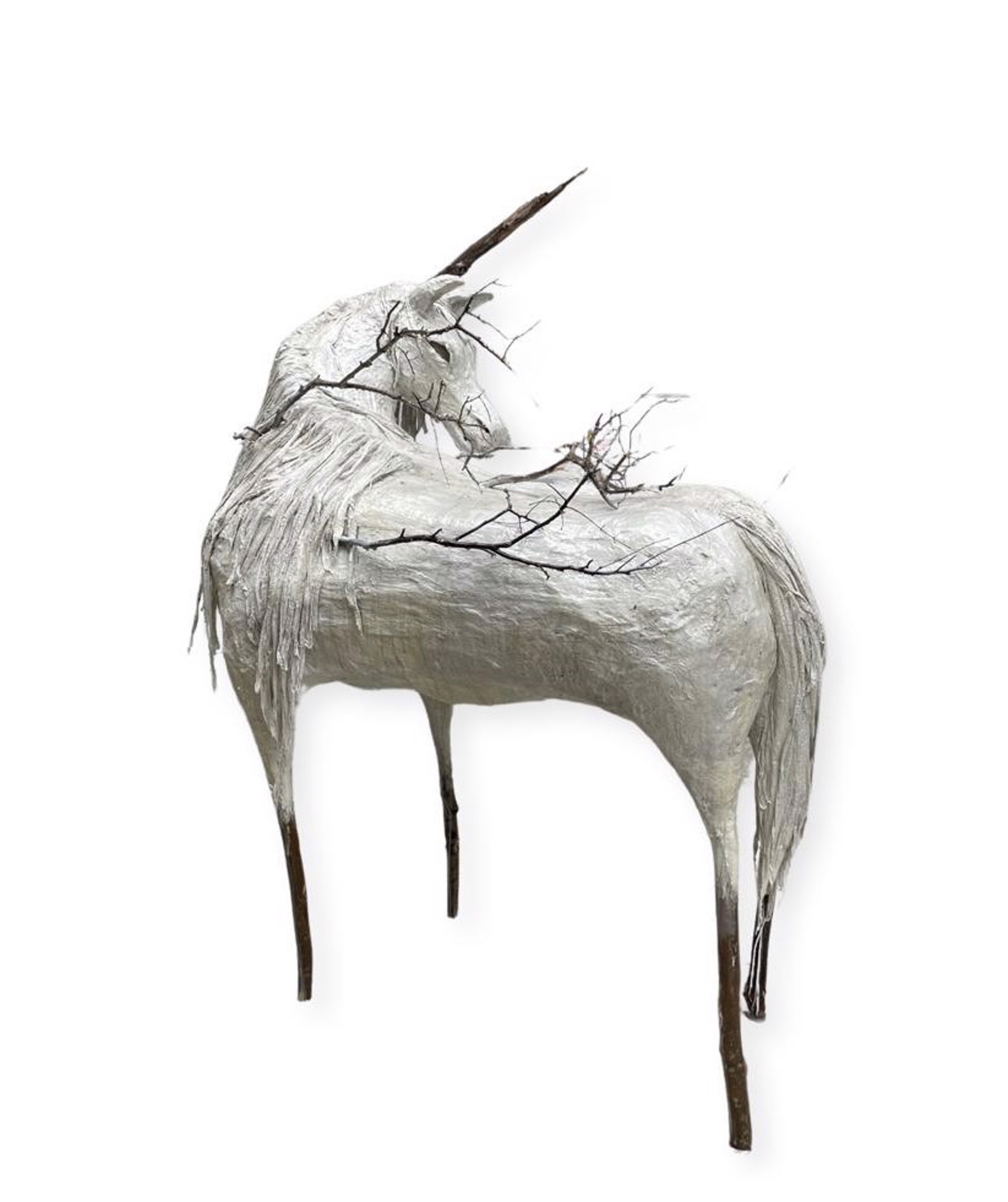 Unicorn by Rachel Gardner
