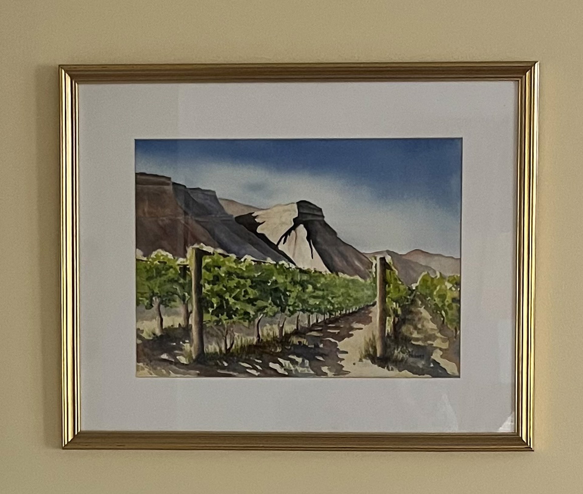 Colorado Vineyard by Cindy Kinney