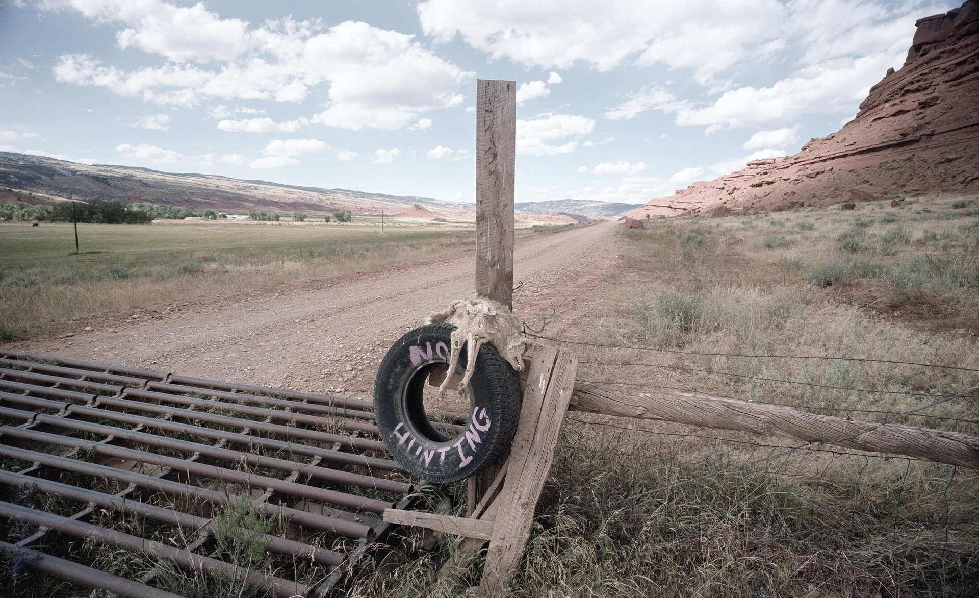 Coyote, No Hunt, Near the Dull Knife Fight, Kaycee, Wyoming, 2005/2012 (Cultural Vestiges) by Lawrence McFarland