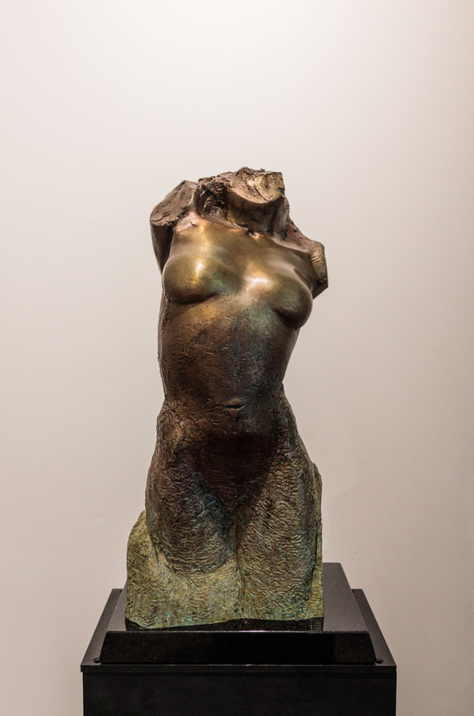 Female Torso by Stephen Glassborow
