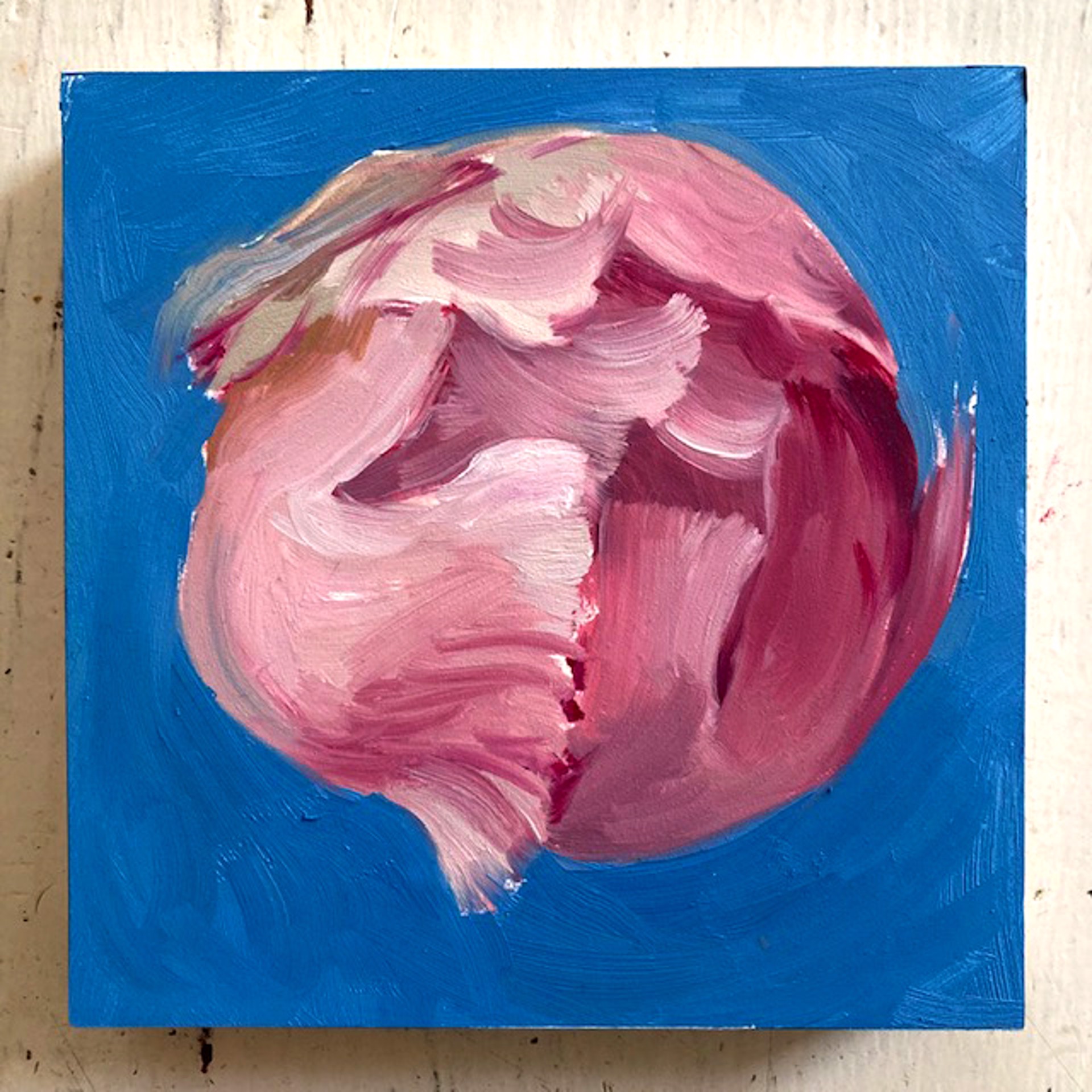 Peony Project #46 by Amy R. Peterson*