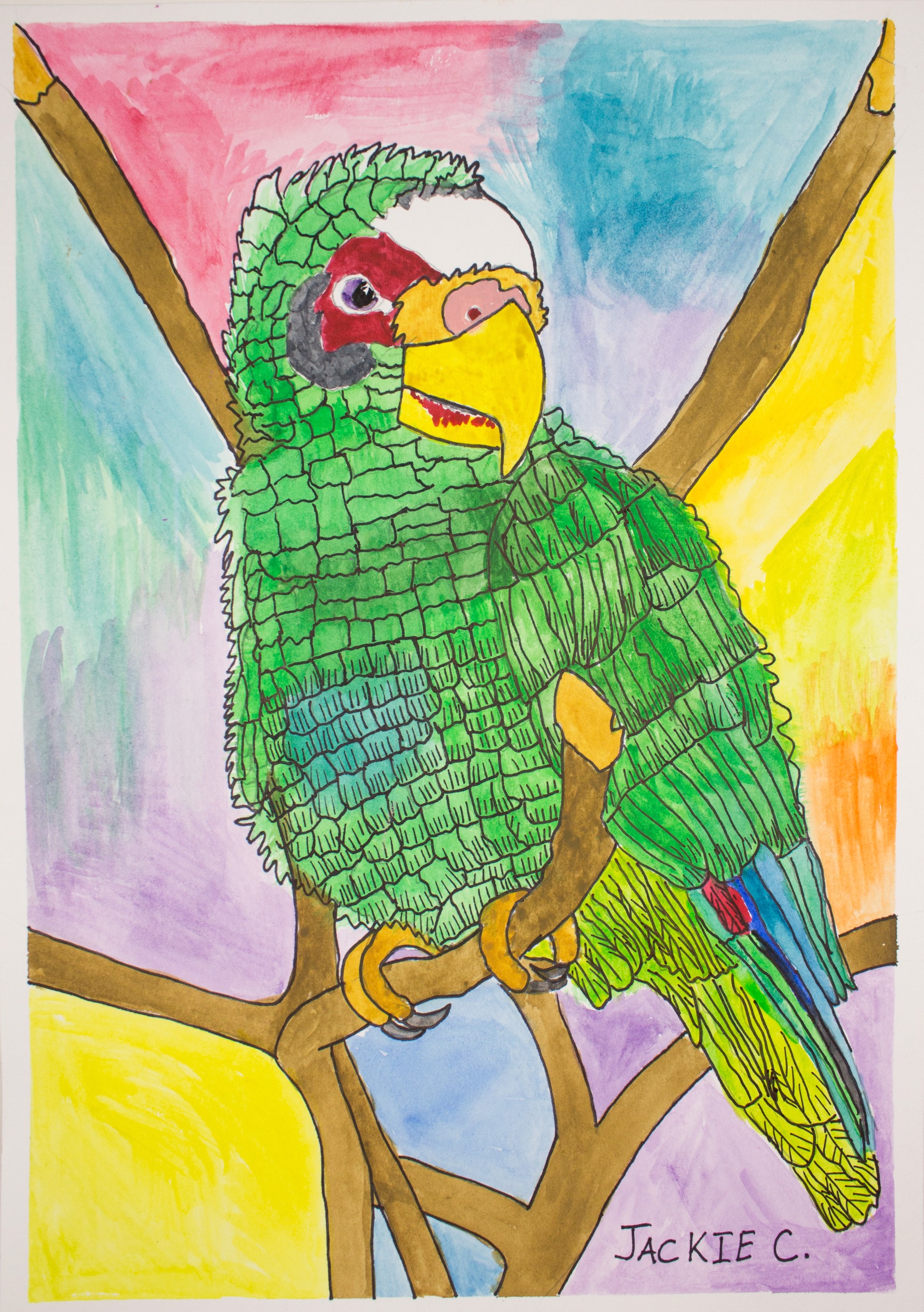 Parrot in The Tree by Jacqueline Coleman
