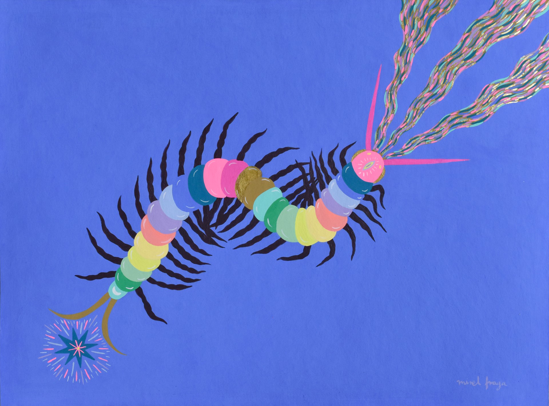 Traveling Centipede by Mirel Fraga
