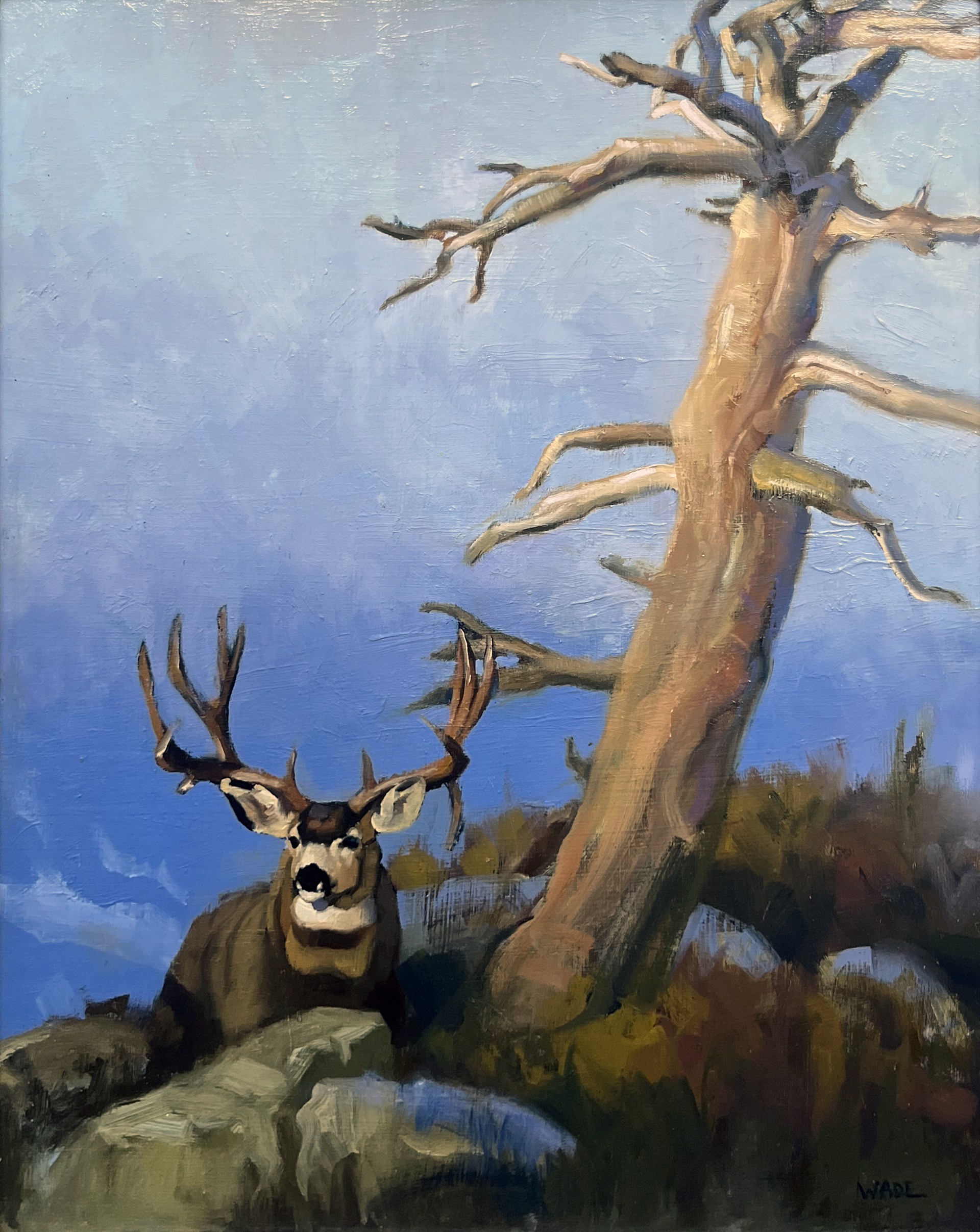 Vantage Point by Dave Wade