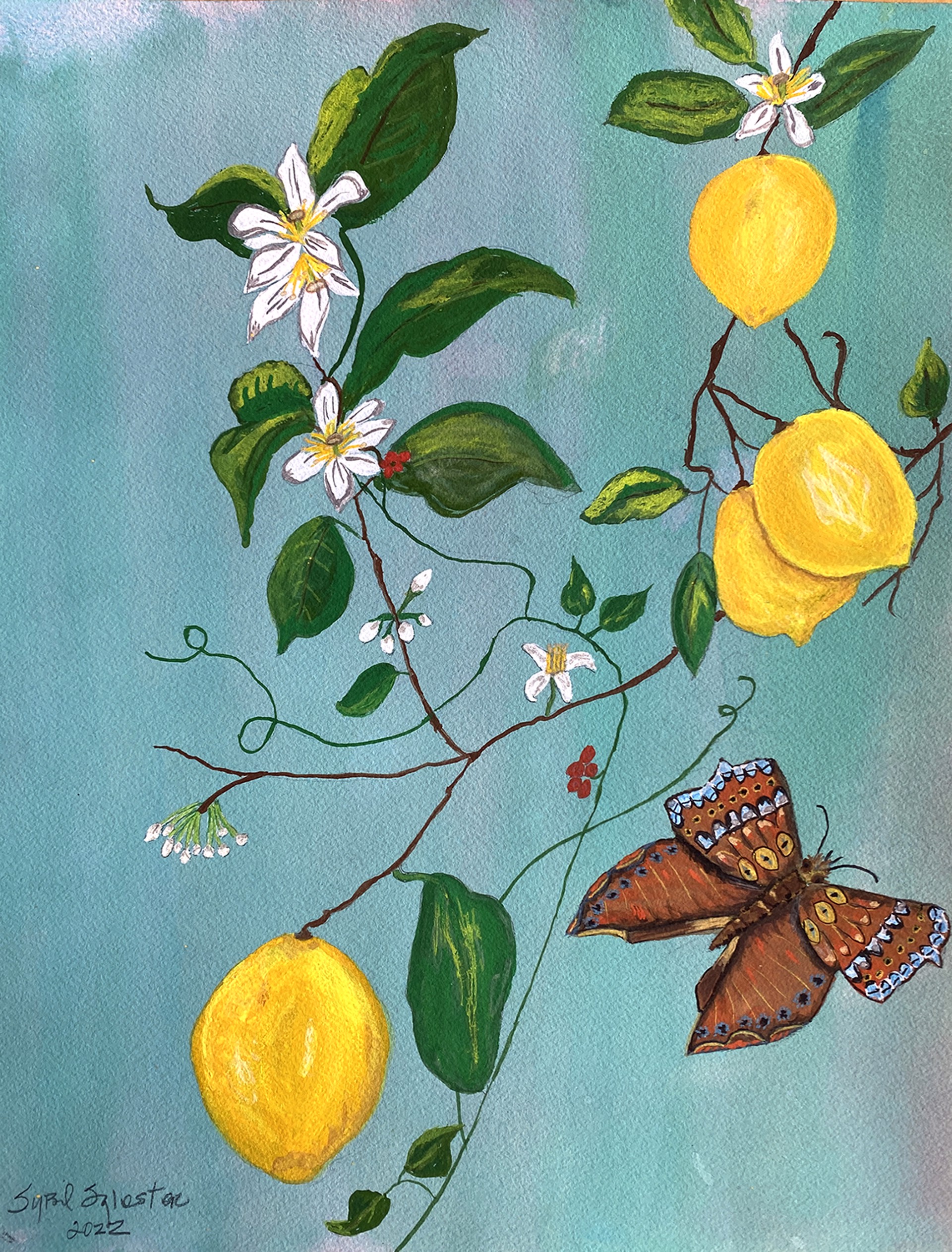 Lemon Tree Very Pretty by Sybil Sylvester