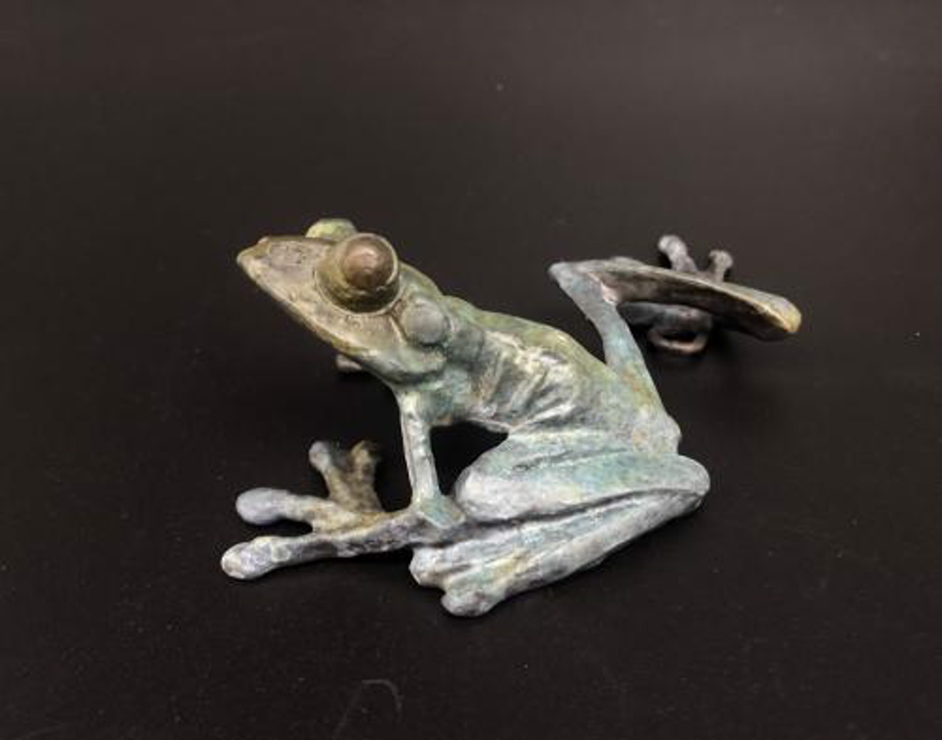 Frog B by Dan Chen