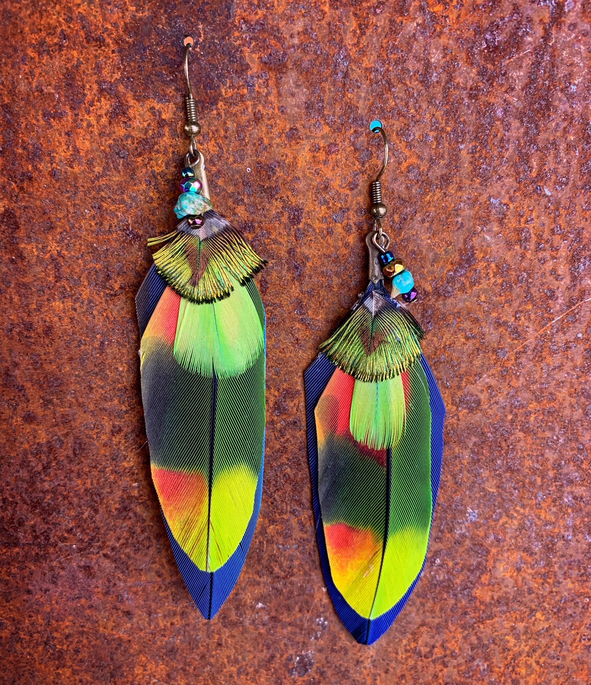 K774 Parrot Earrings by Kelly Ormsby