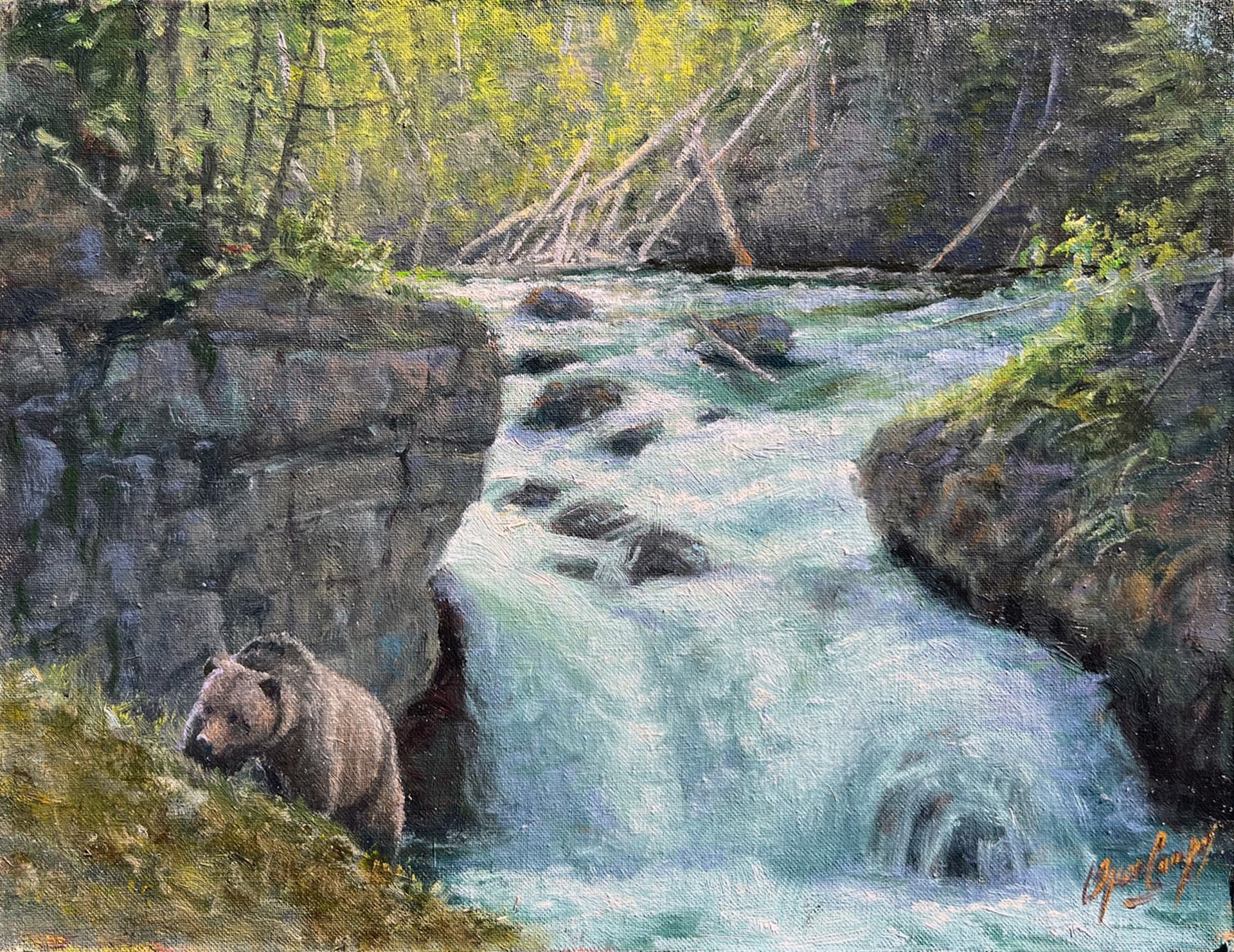 Bear at the Waterfall by Oscar Campos