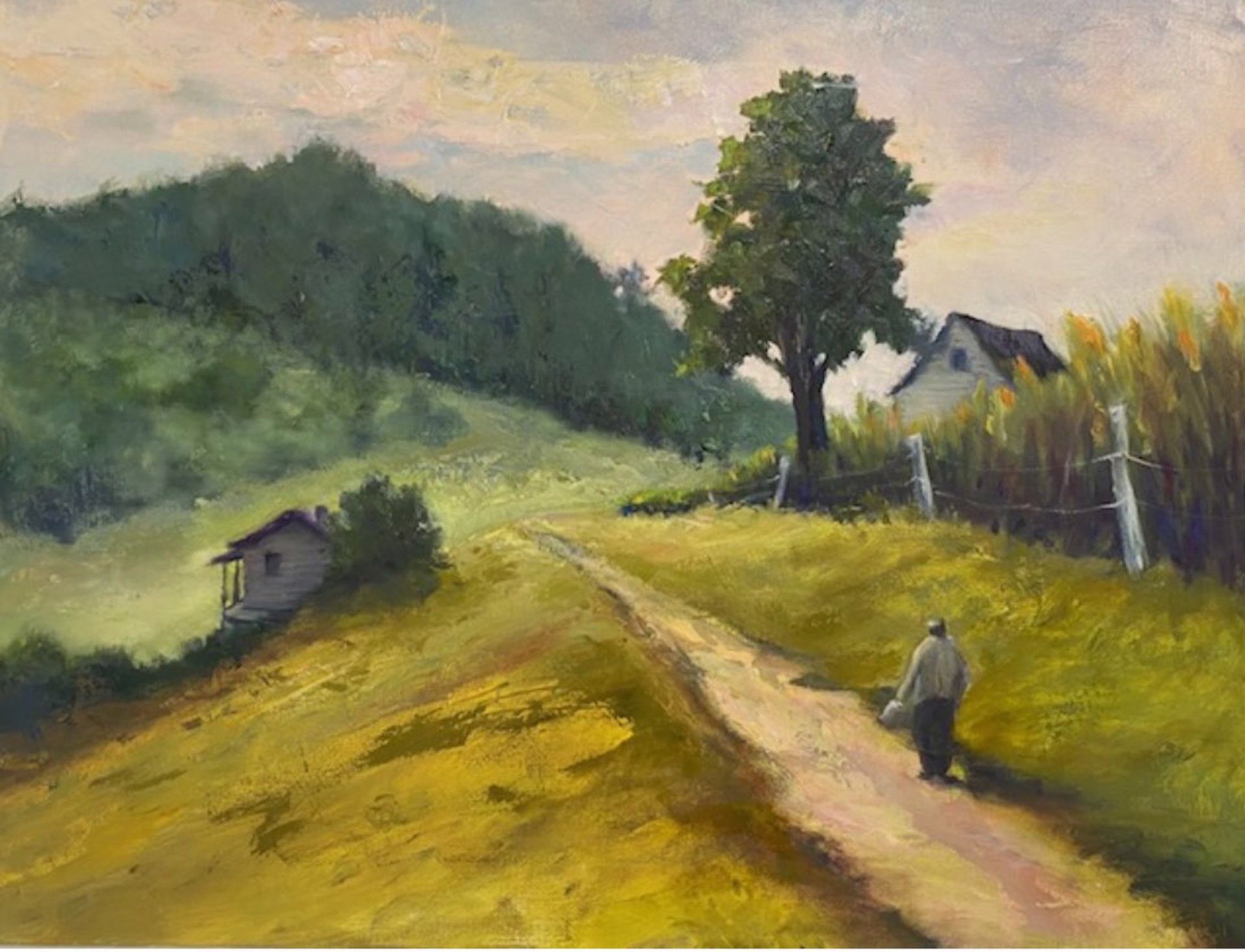 Home in the Holler by Mary Jane Huegel