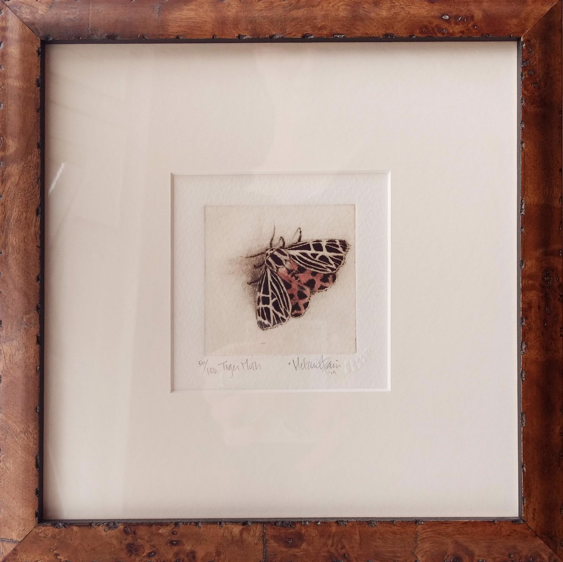 Tiger Moth_framed, #61/100 by Melanie Fain