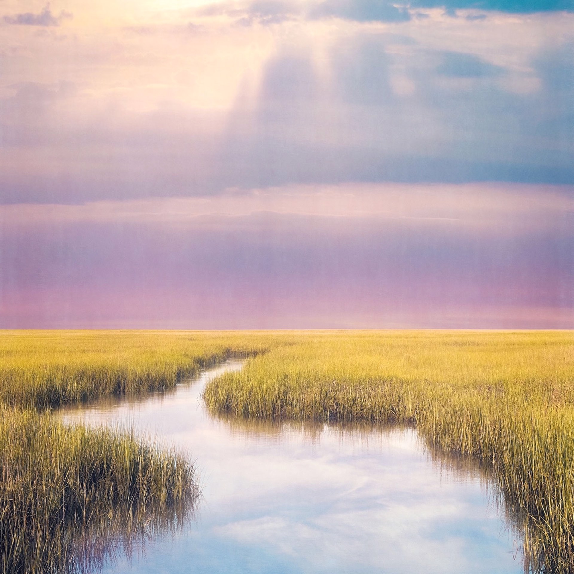 Magenta Sky Marsh by Thomas Hager