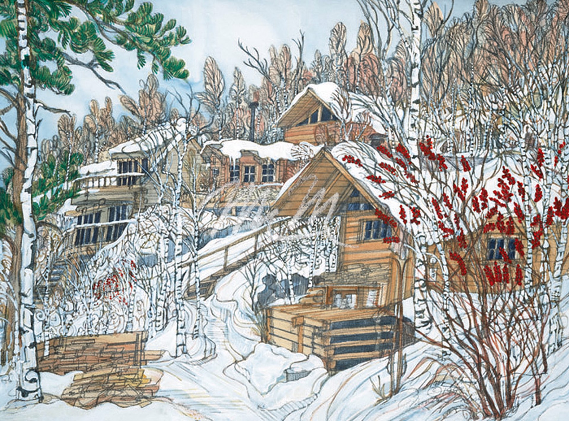 Mountain Cabin - Winter,  Steamboat Springs, Colorado by Mark McMahon