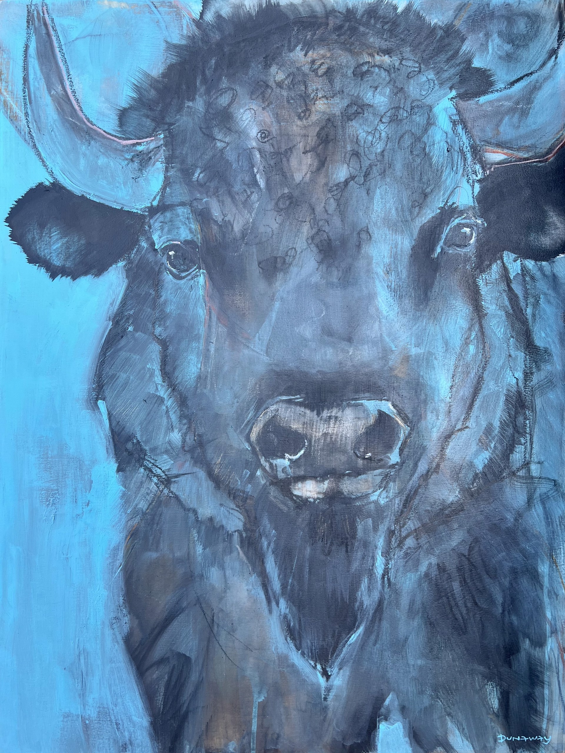 Joe Bison by Claire Dunaway Cyr