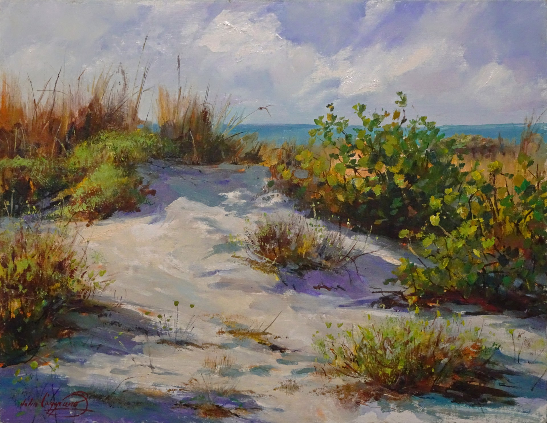 Over the Dunes by John S Caggiano