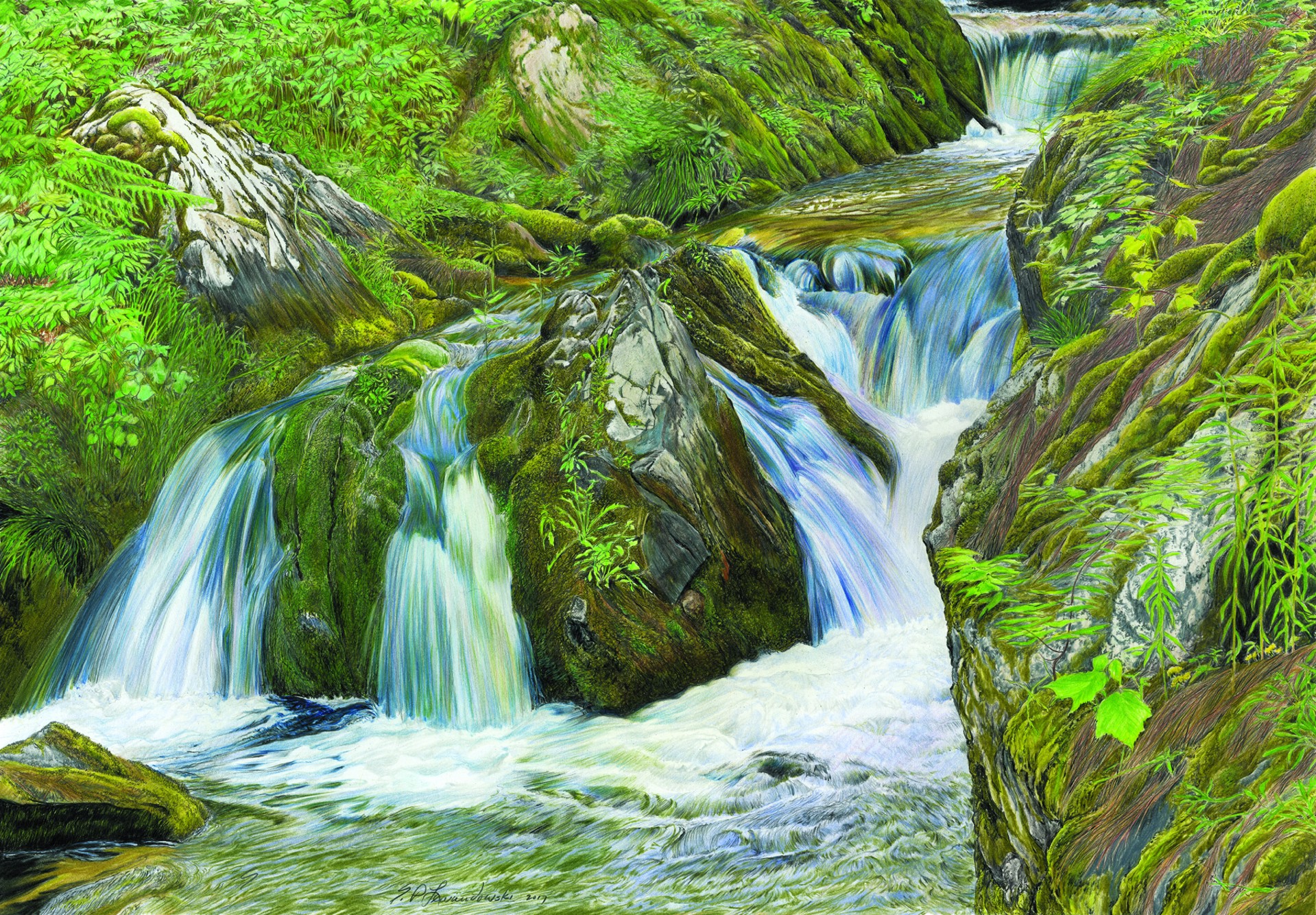 Reany Creek Falls by Erwin Lewandowski