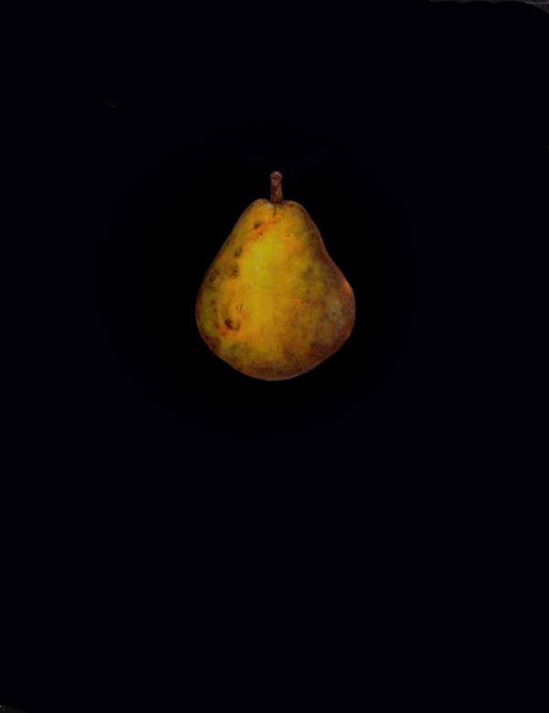 Pear by Tilly Woodward