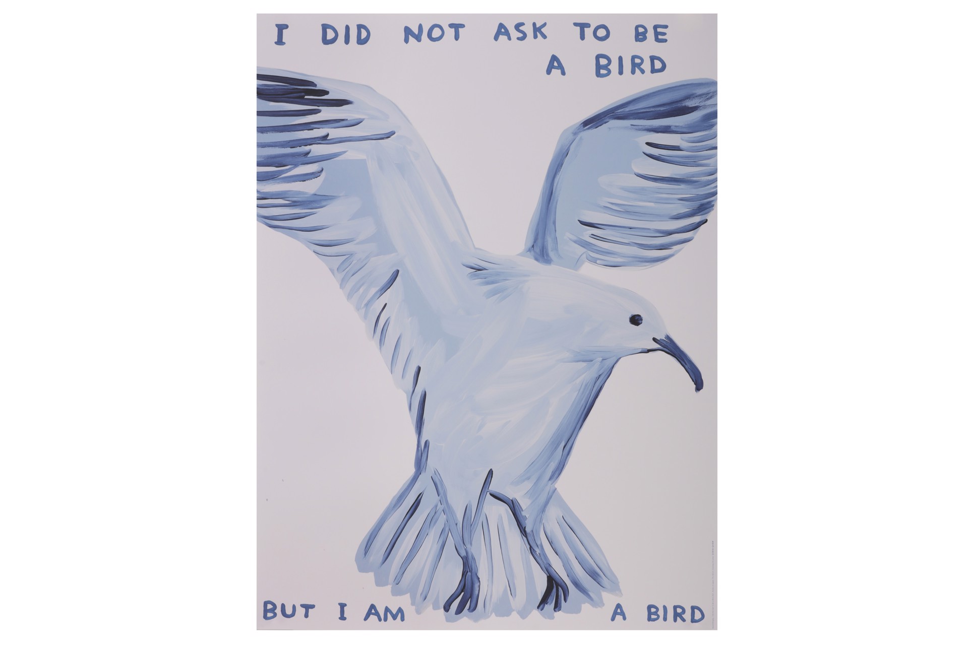 I Did Not Ask to Be a Bird by David Shrigley