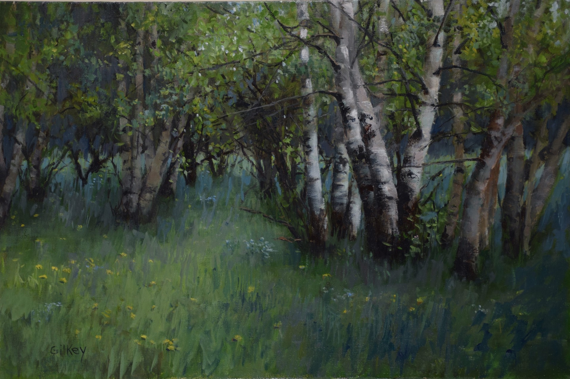 Birch Grove by Sue Gilkey