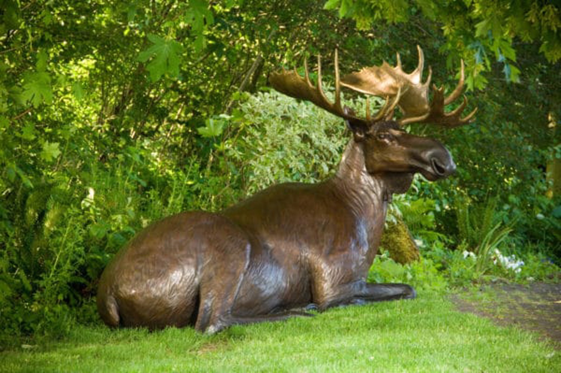 Life Size Bronze Limited Edition Bronze Bull Moose Laying Down, By Rip And Alison Caswell