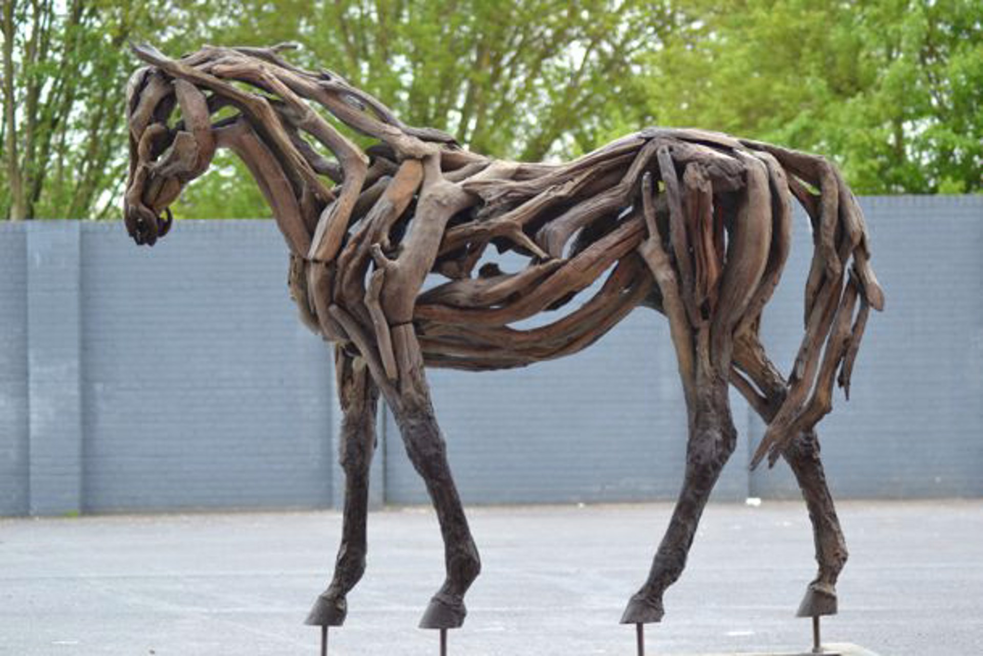 Forget Me Not by Heather Jansch