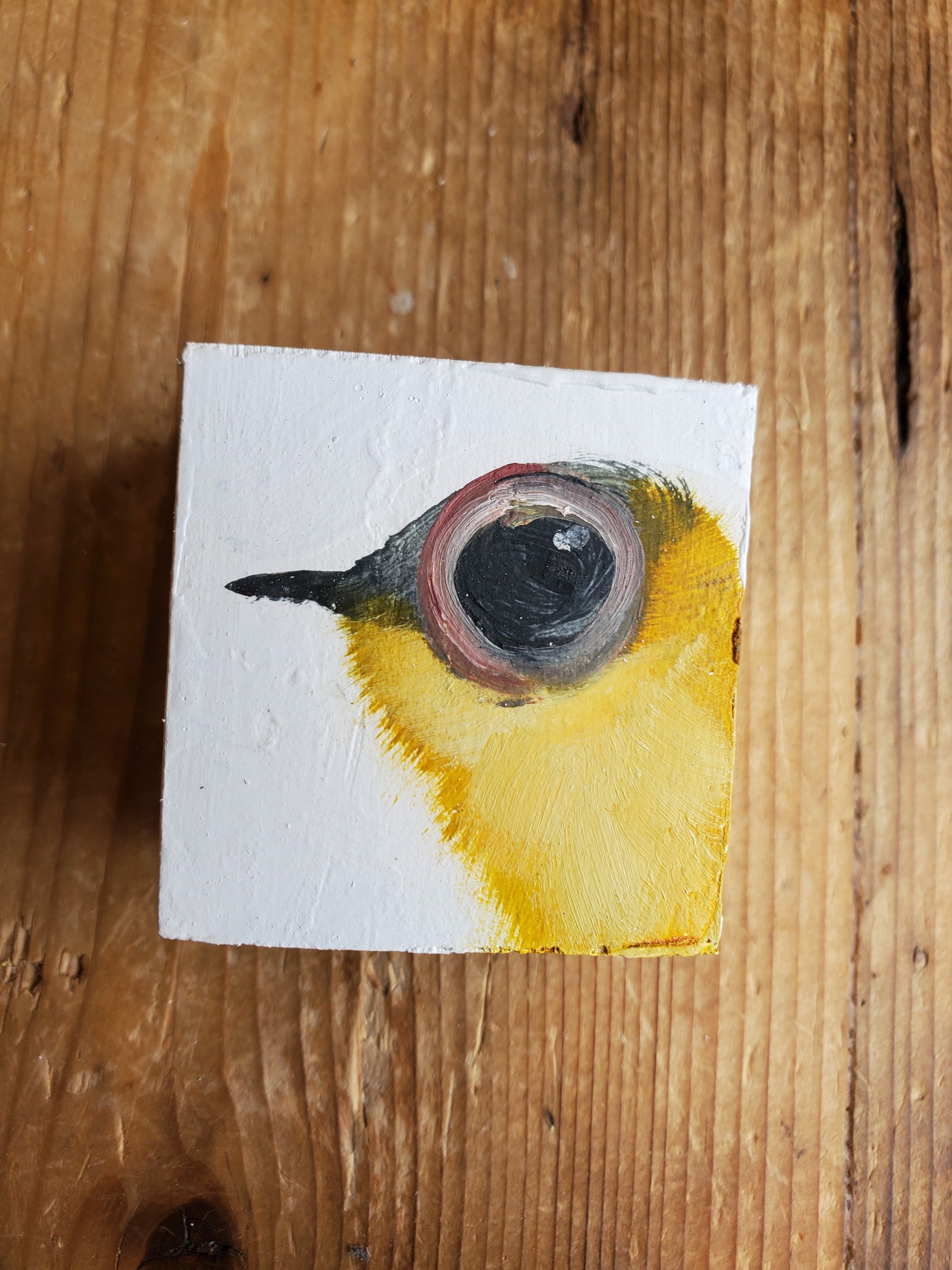 Baby Bird Block by Diane Kilgore Condon