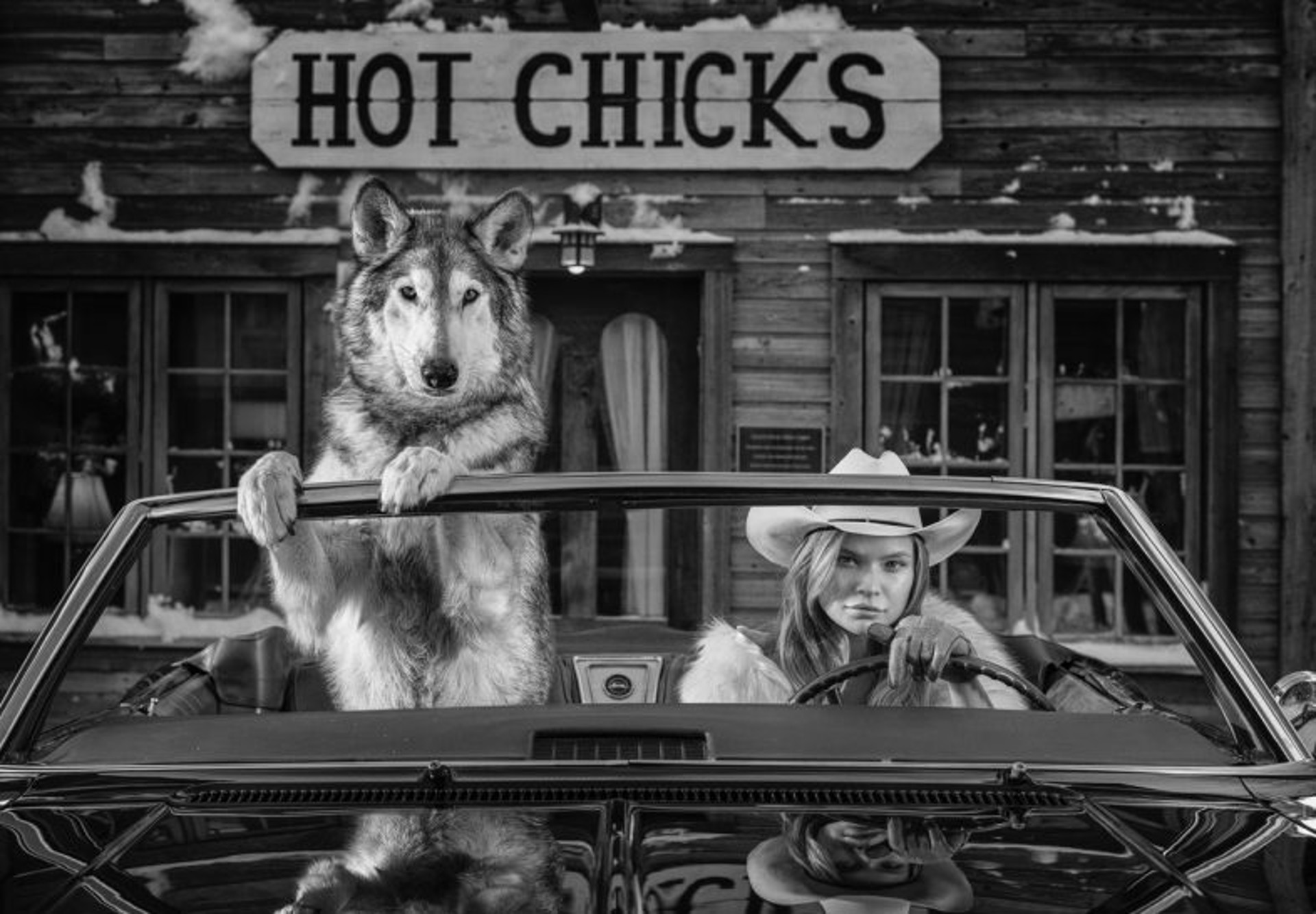 Hot Chicks by David Yarrow