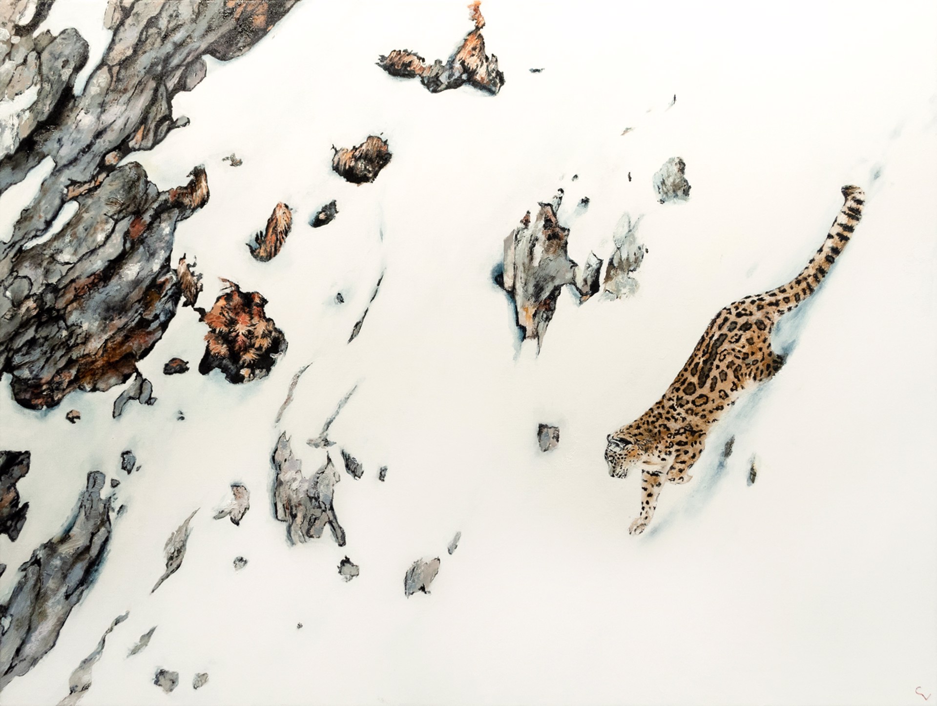 The Snow Leopard by Chris Veeneman