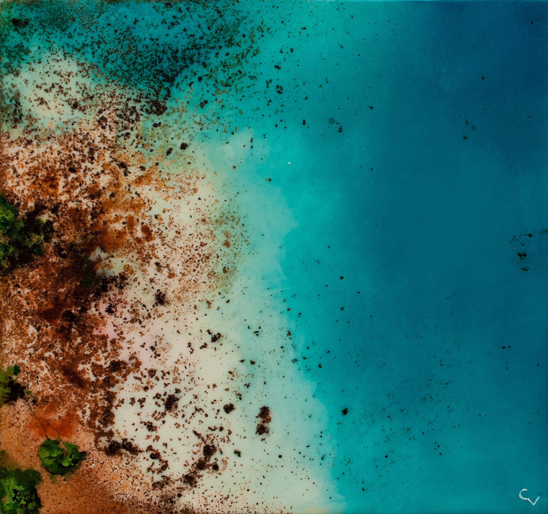 Shoal by Chris Veeneman