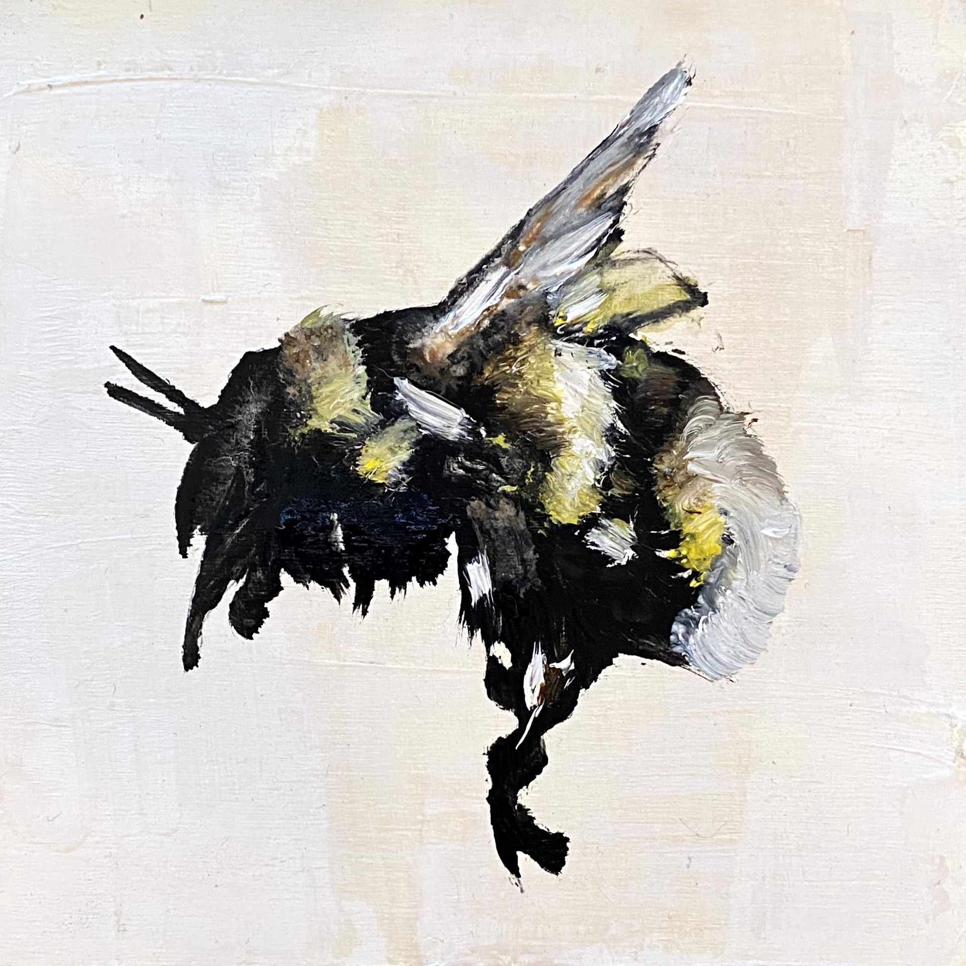 An Original Oil Painting Of A Bumble Bee, By Jenna Von Benedikt