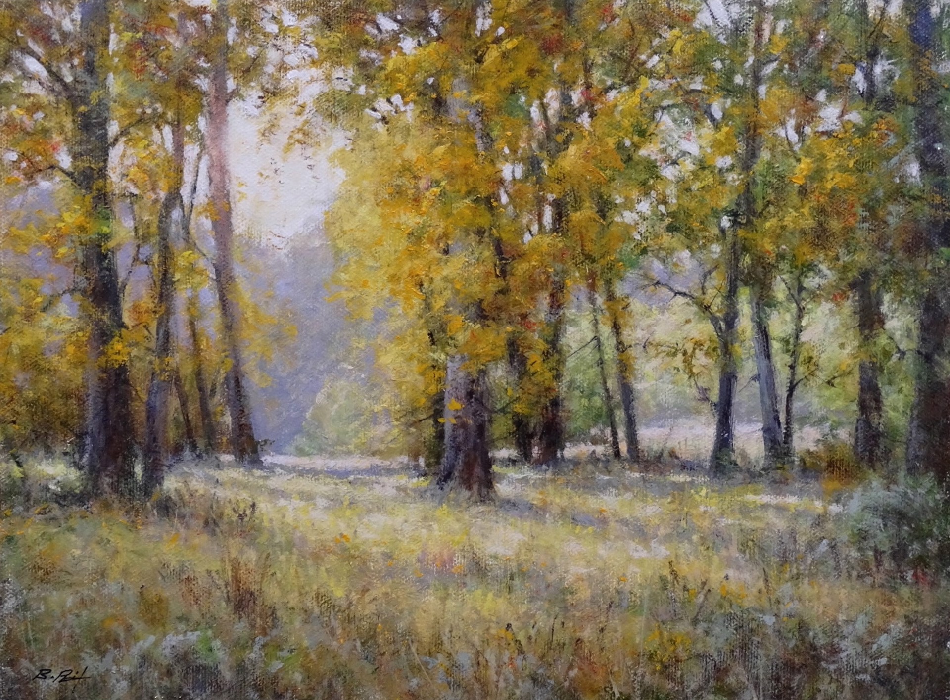 Fall Trees by Bruce Peil