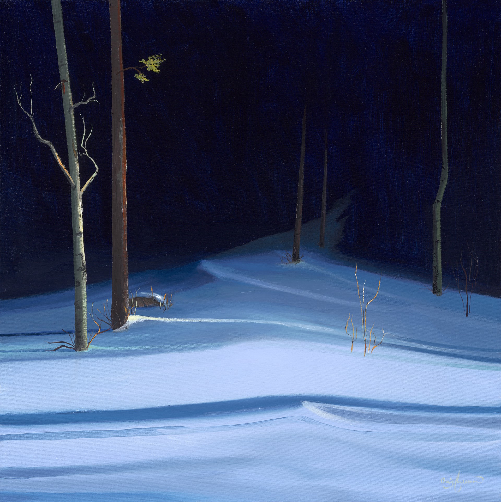 Winter Whisper by Craig Freeman
