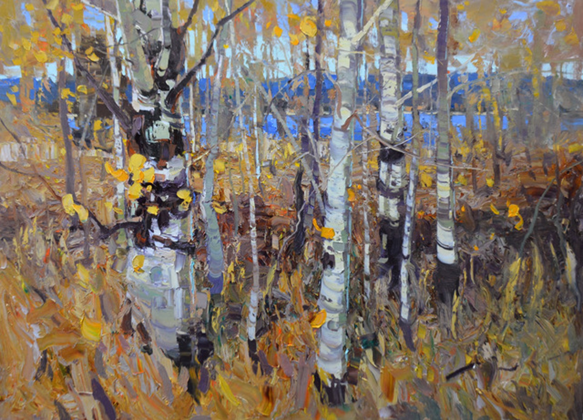 An Oil Painting Of A Grove Of Aspen Trees In The Fall With A Body Of Water And Mountain Seen Through The Trees