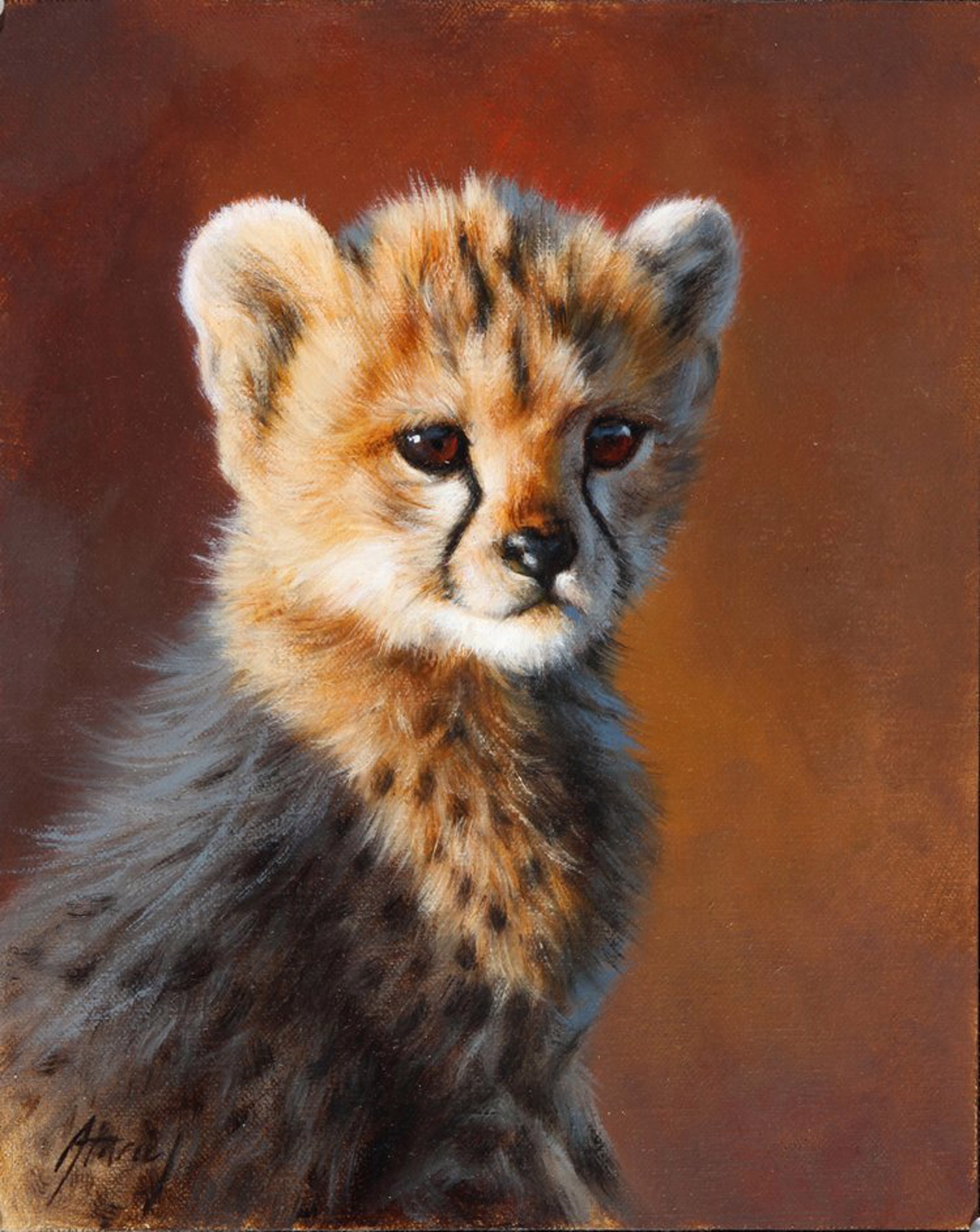 Cheetah Cub Portrait by Ed Aldrich