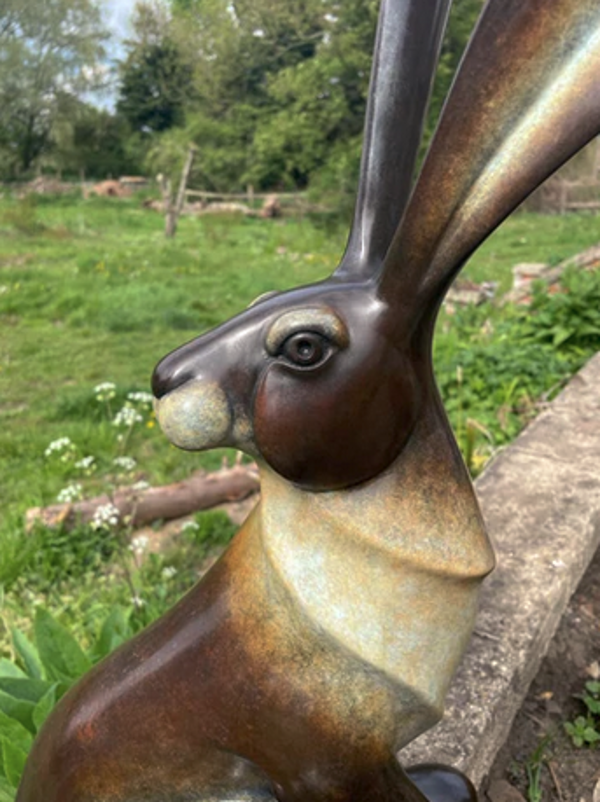 Sitting Hare by David Meredith