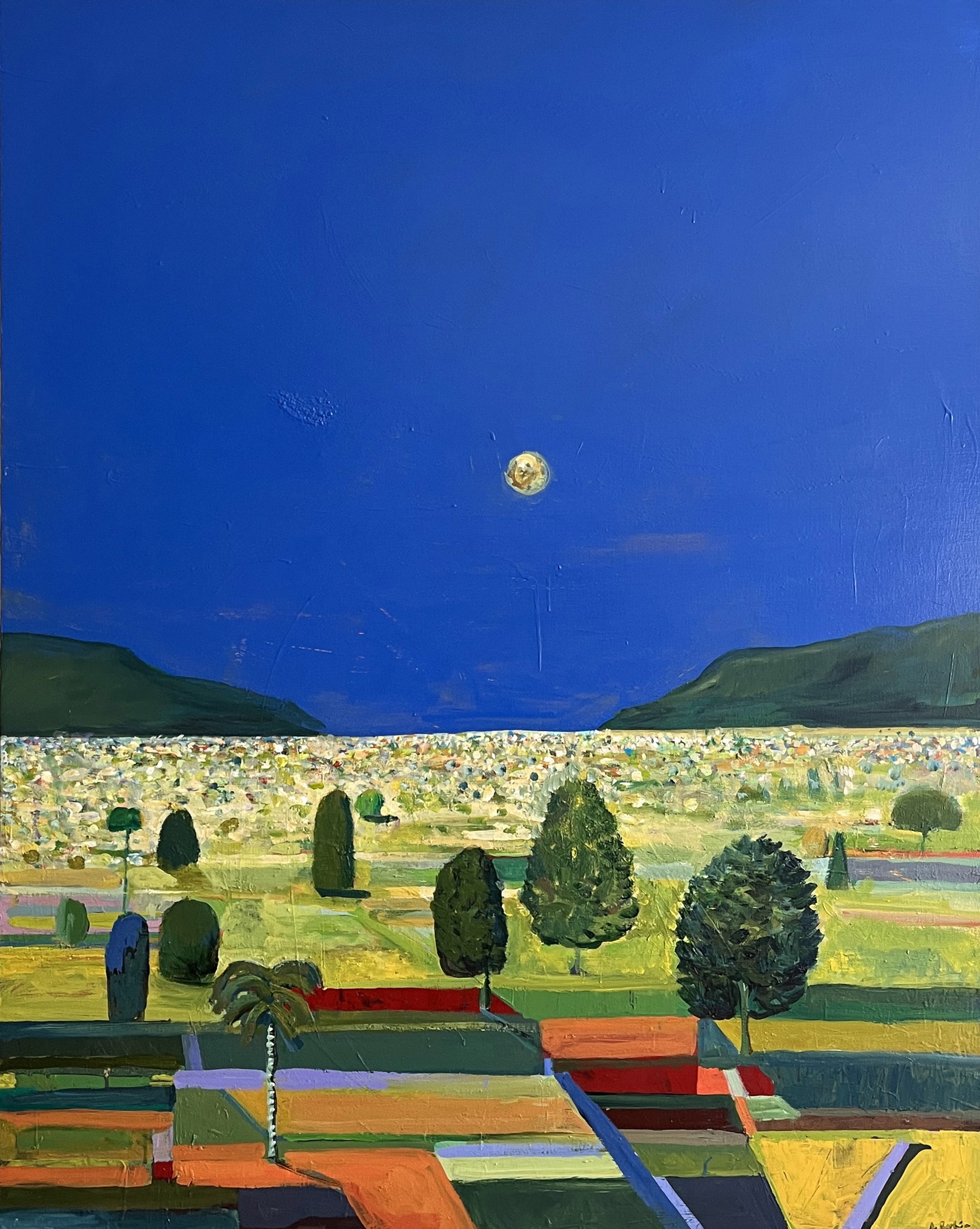 Moonlit Valley by Alejandro Rubio