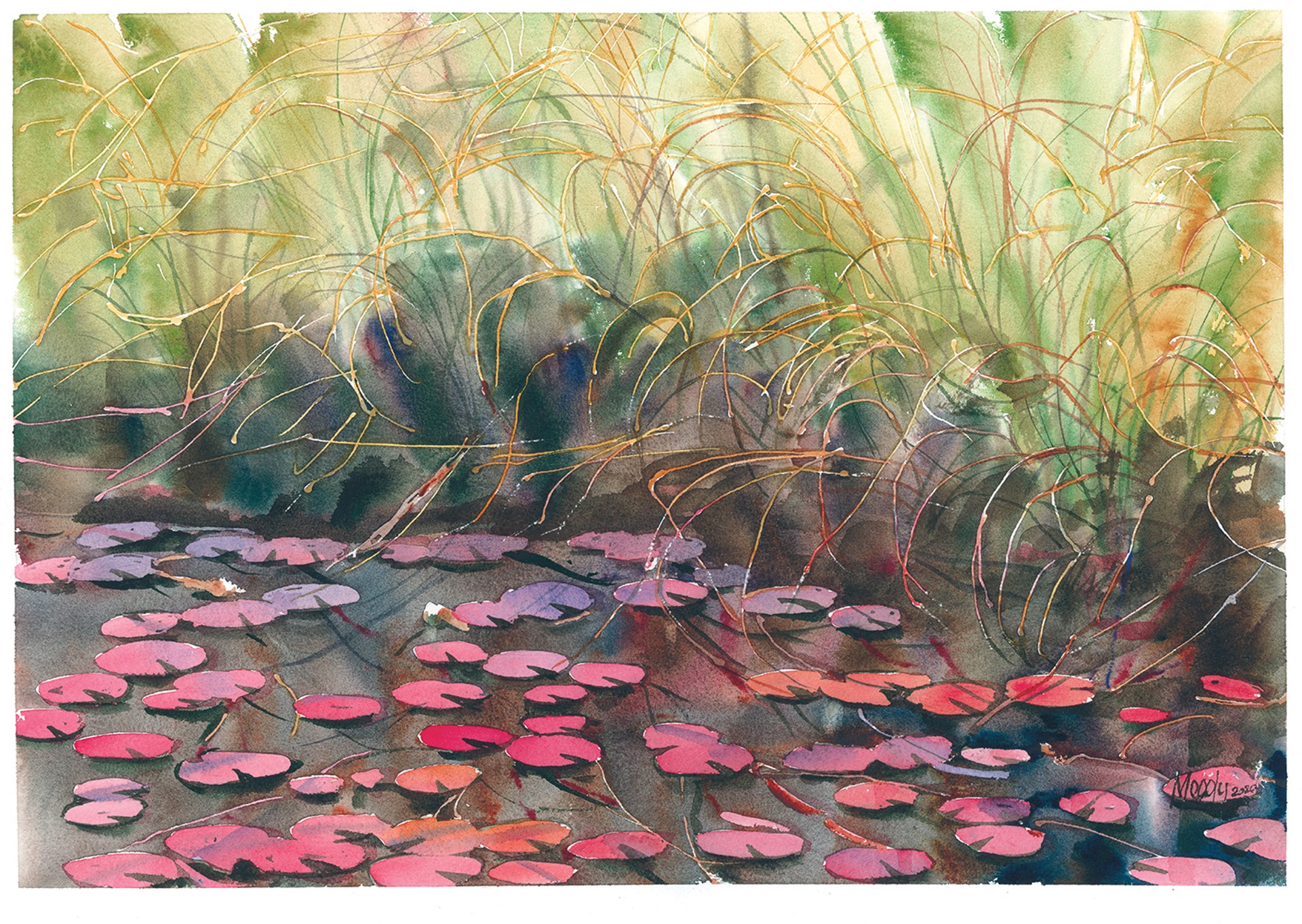 Pink Waterlilies III by Bob Moody