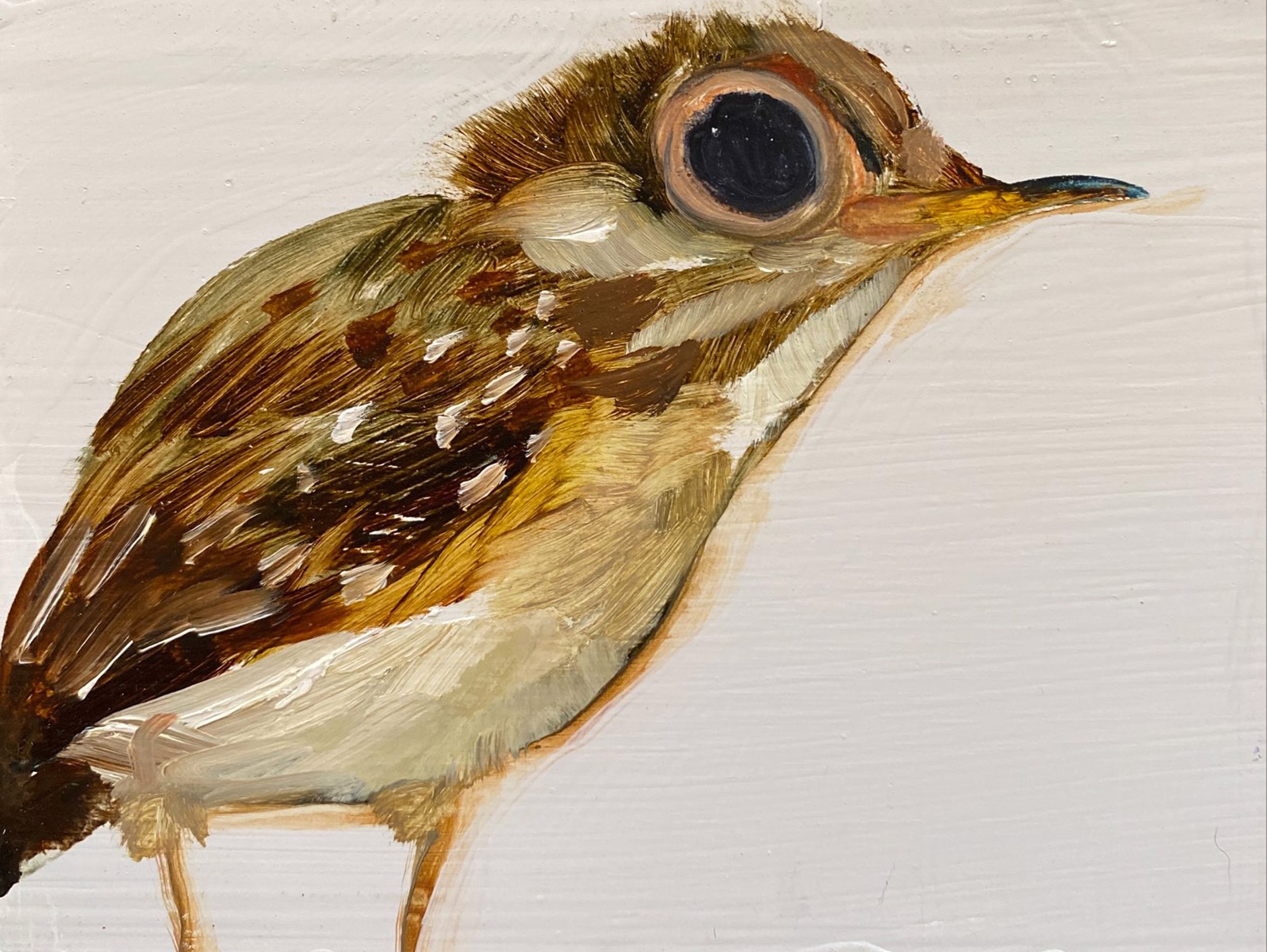 Bird Block (white belly) by Diane Kilgore Condon