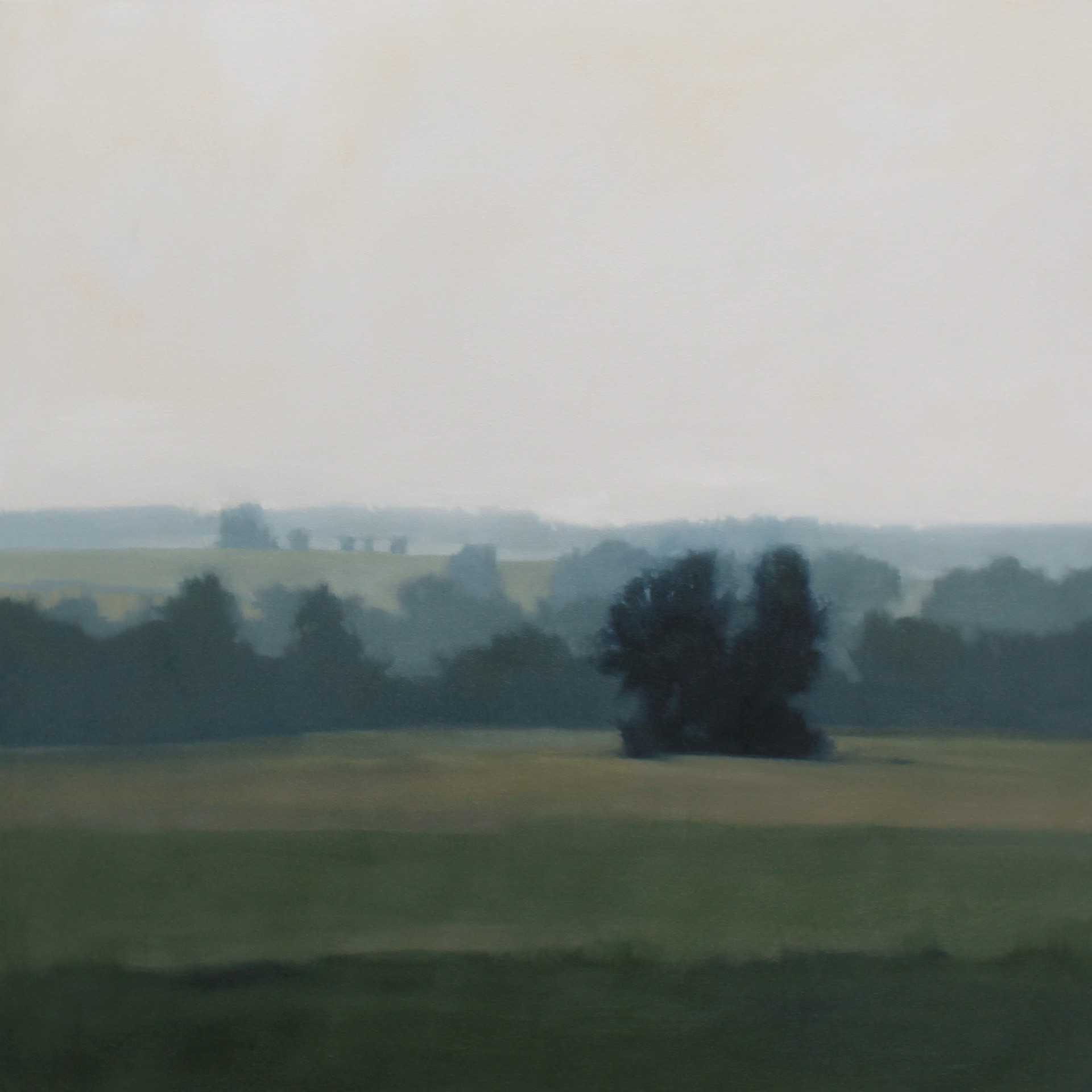 Bright Distance by Megan Lightell